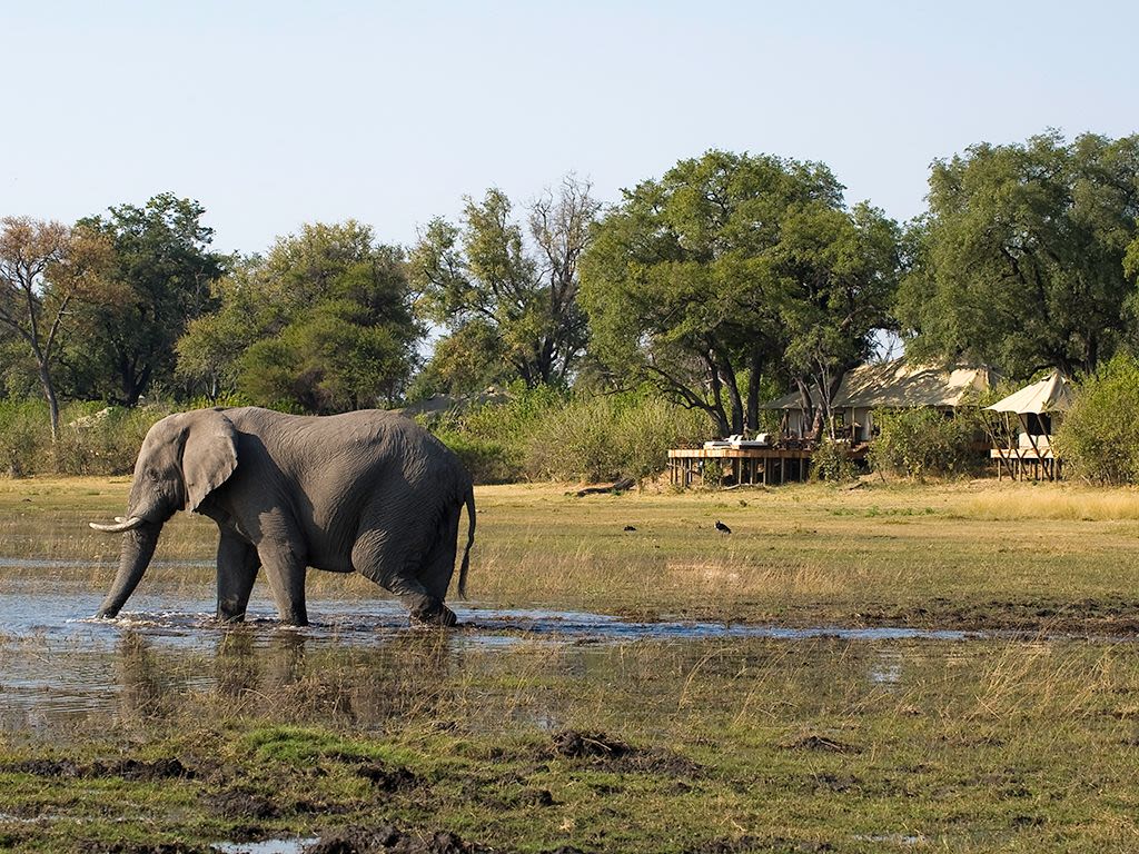 Game Drives in Selinda 