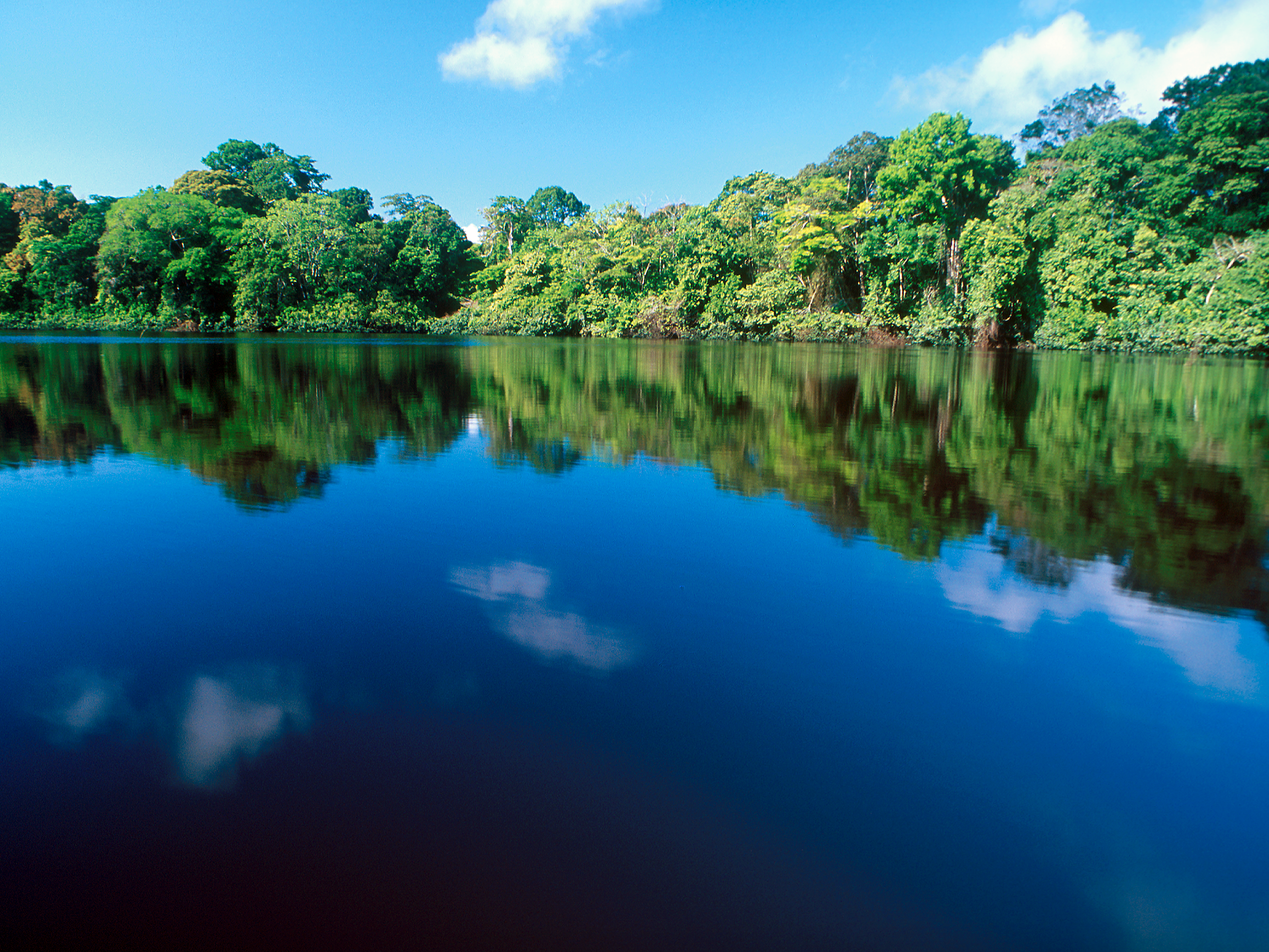 Introducing Tortuguero