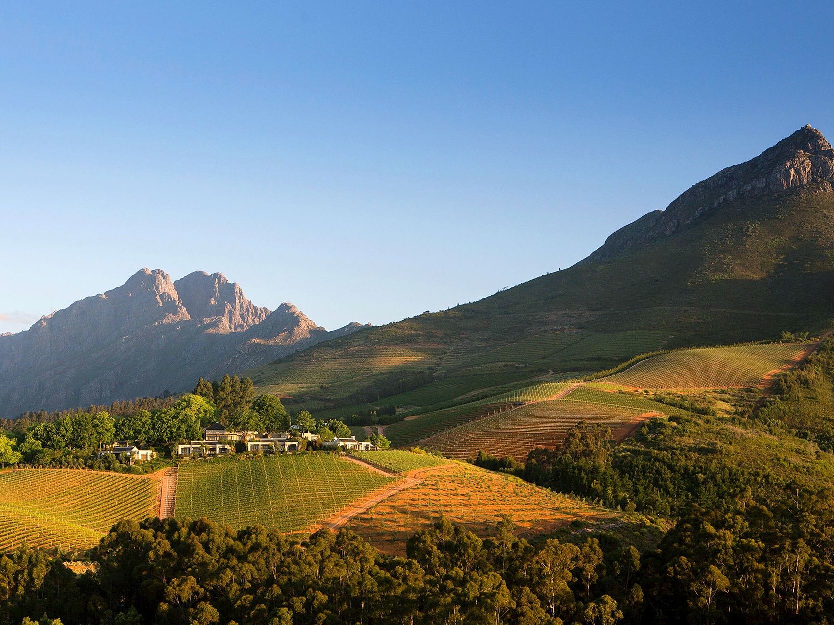 Stellenbosch 