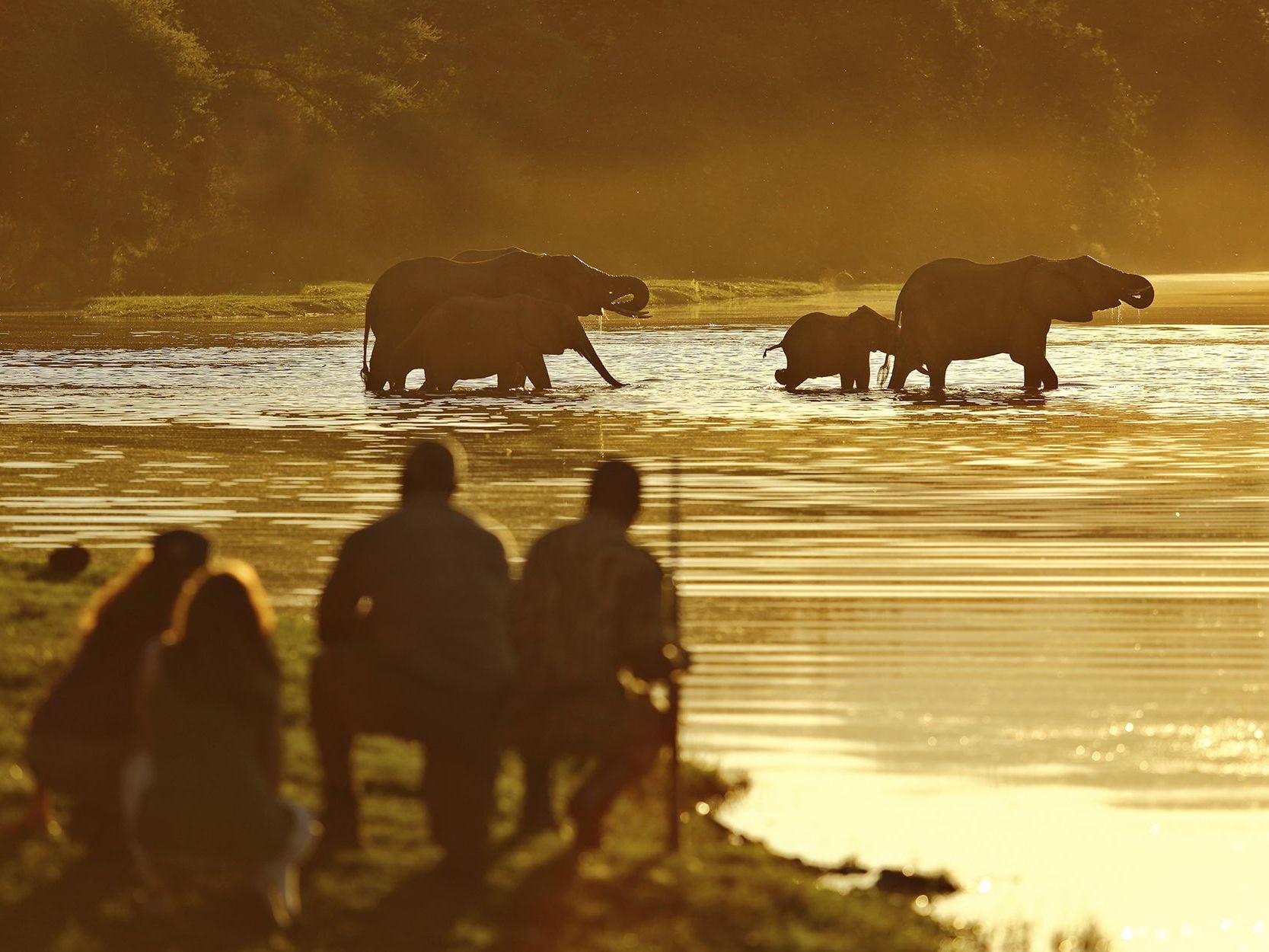 Lower Zambezi National Park