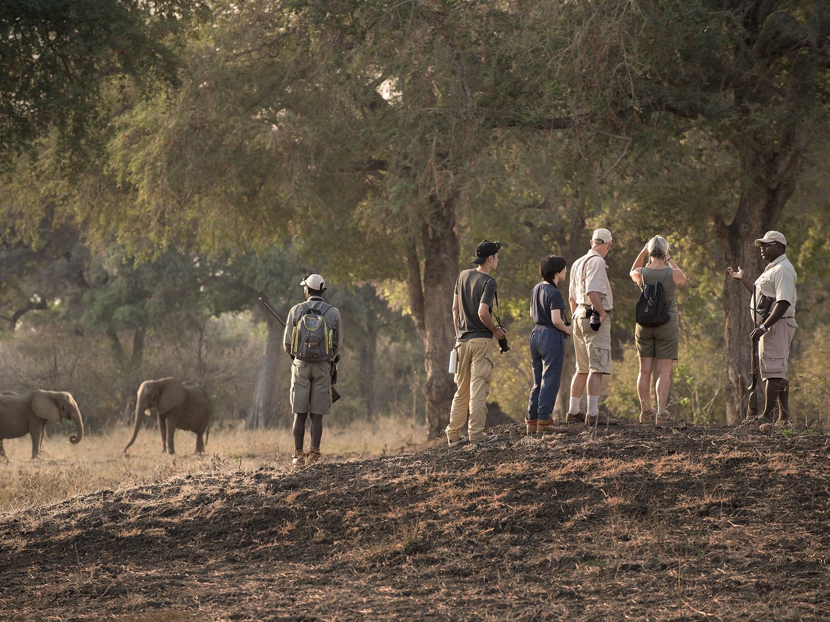 About Mana Pools National Park, Zimbabwe