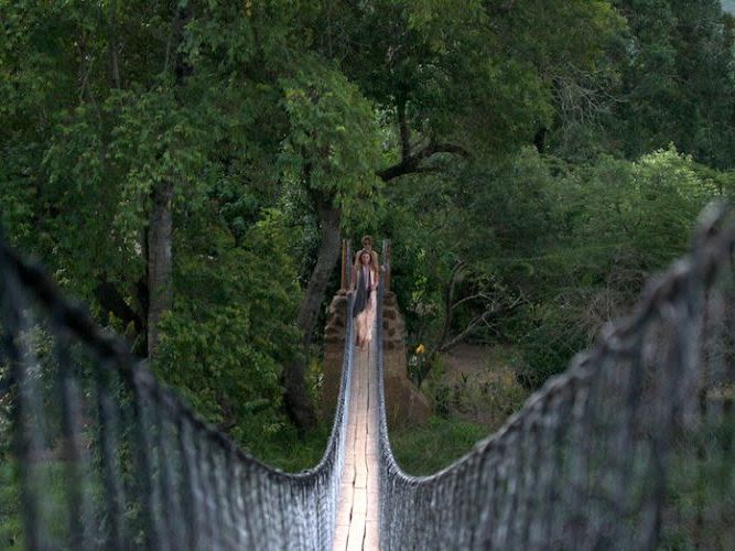 Fly to the Mara, afternoon Safari at the Mara North Conservancy