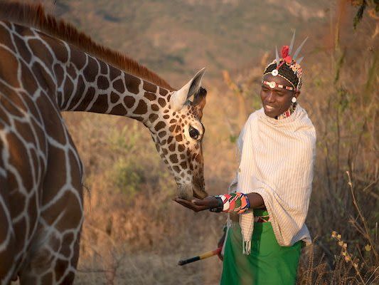 Kalama Conservancy and Samburu National Reserve