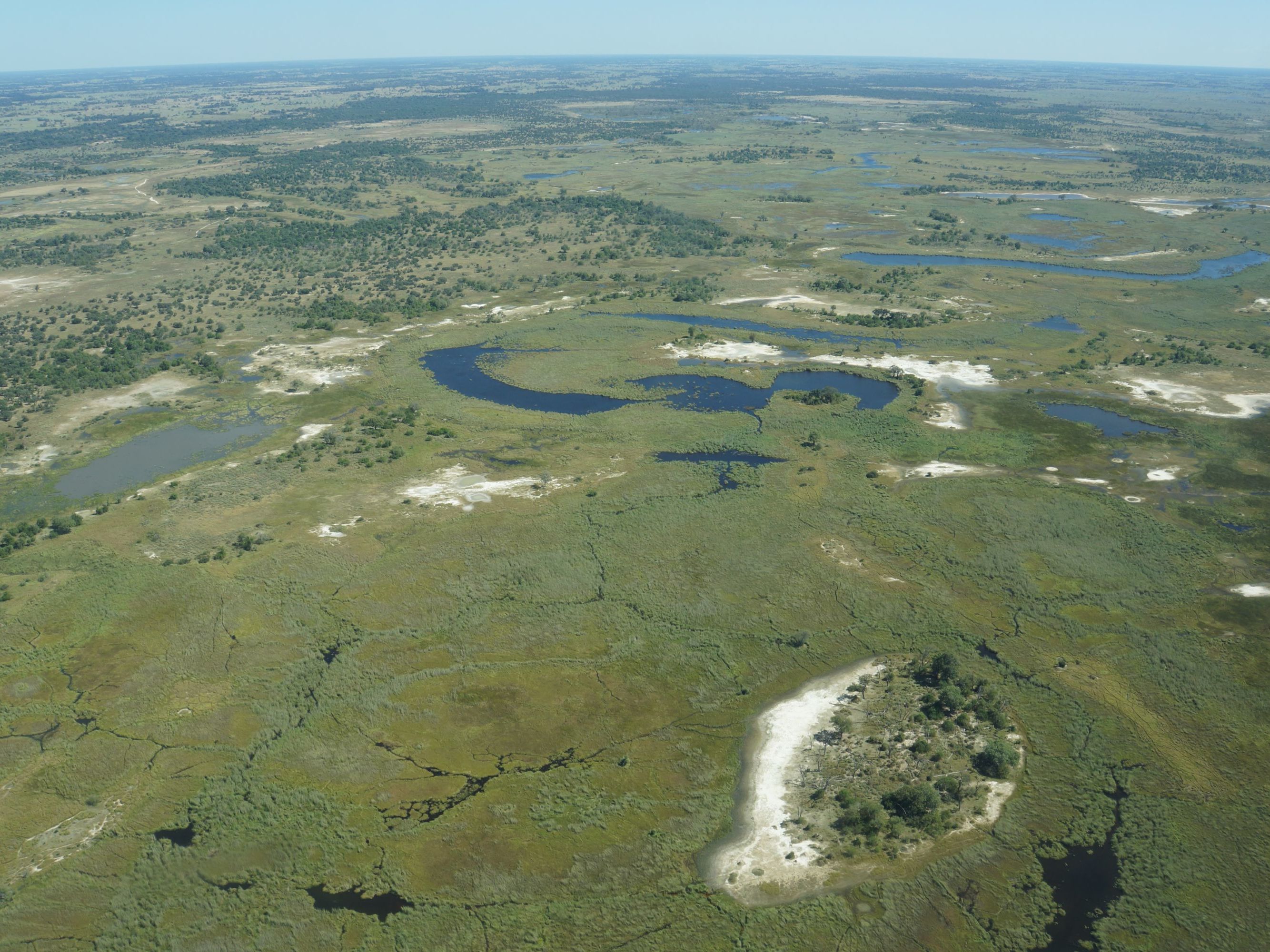 Explore the Okavango Delta