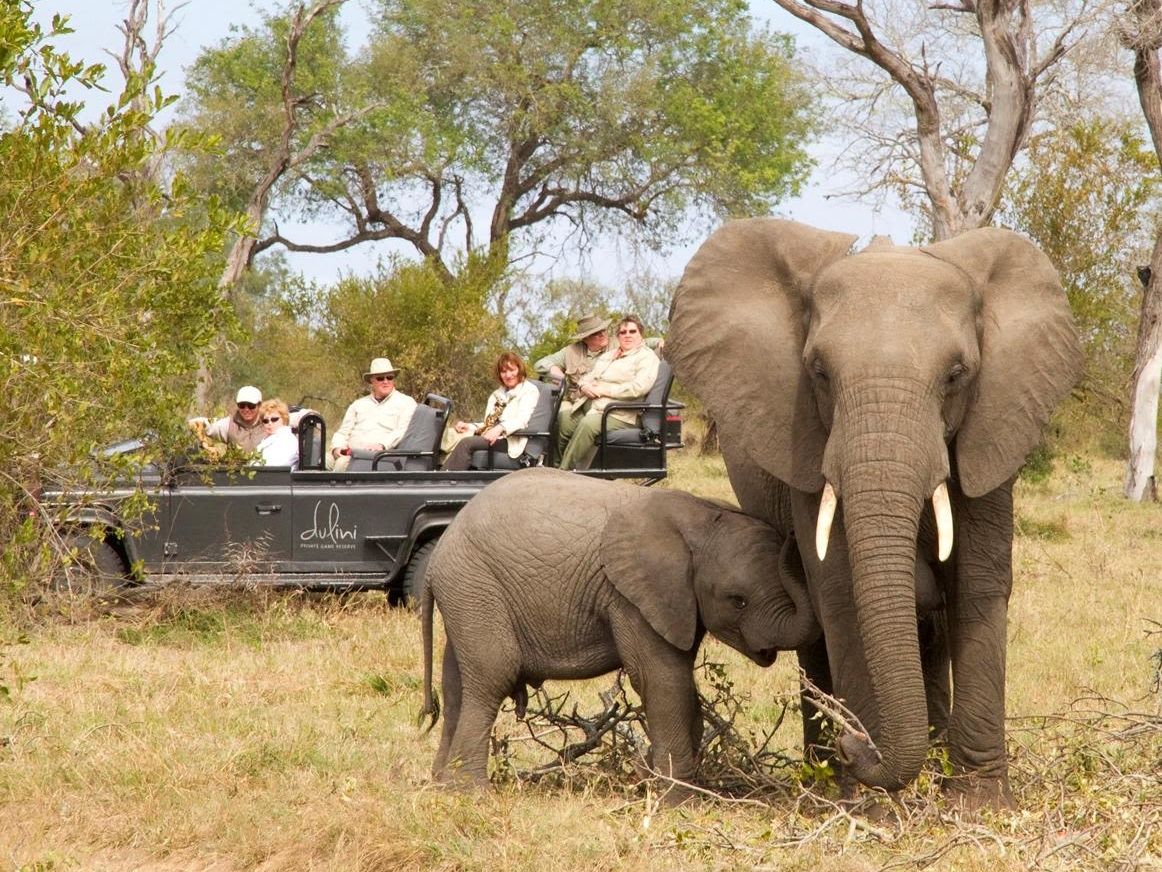 Transfer to Sabi Sands Private Game Reserve