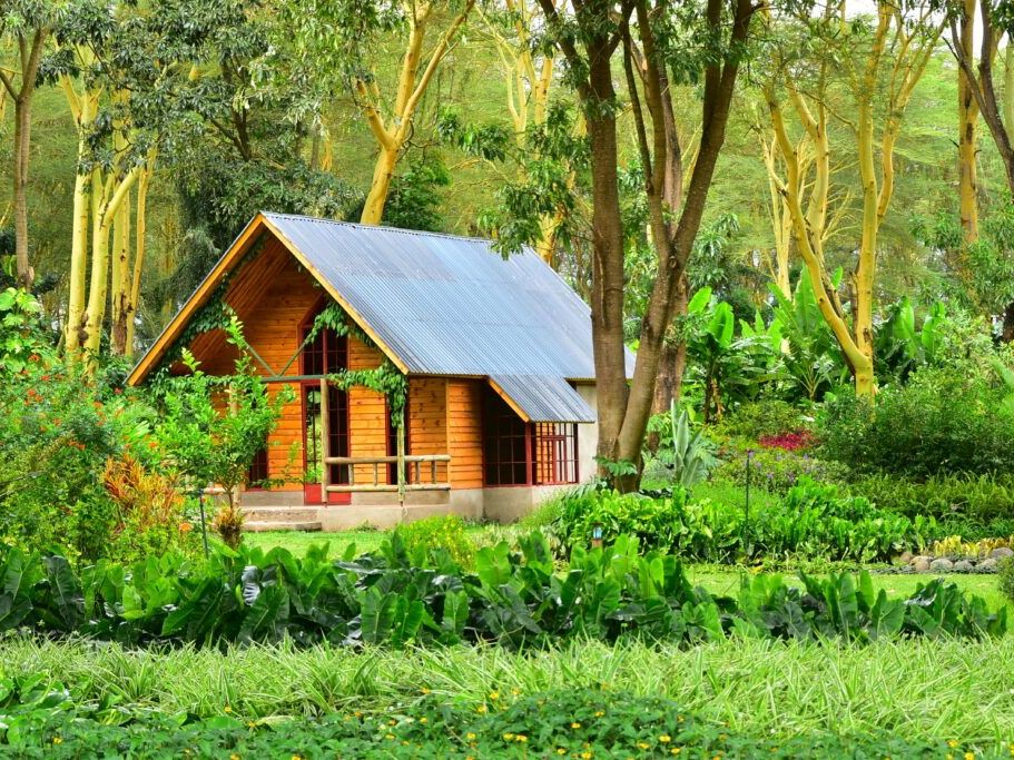 Touchdown in Tanzania