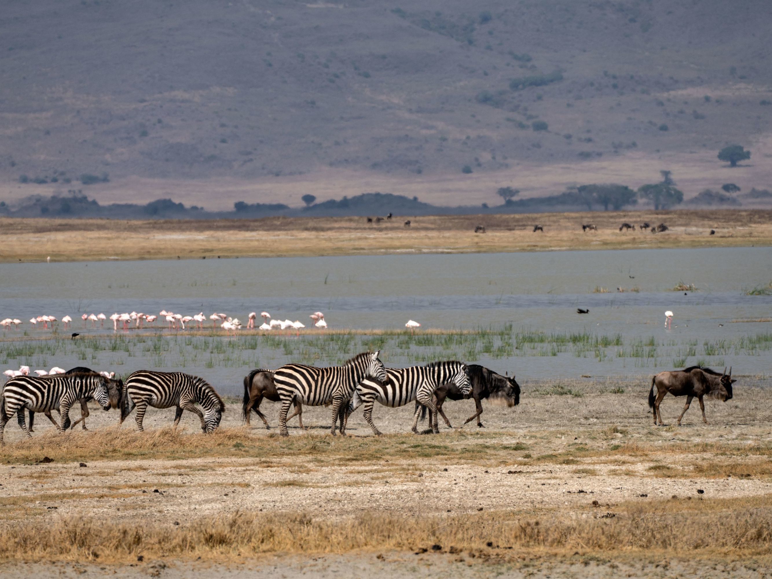 Ngorongoro Crater