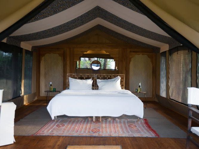 Alex Walker's Migration Camp