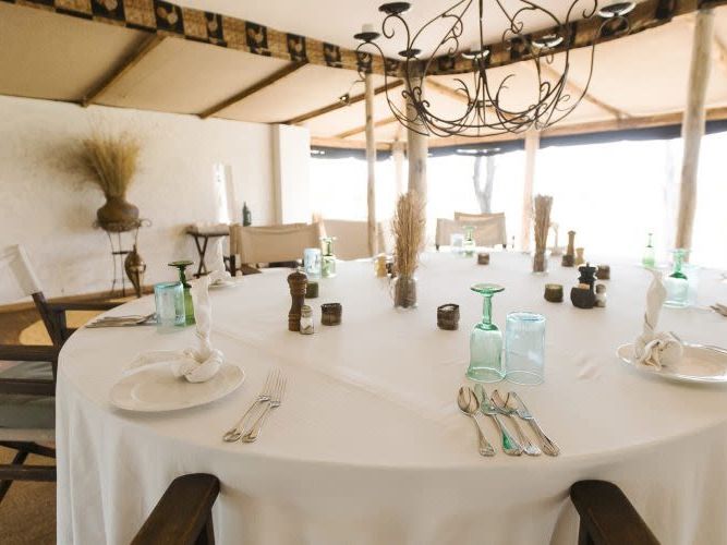 Alex Walker's Migration Camp