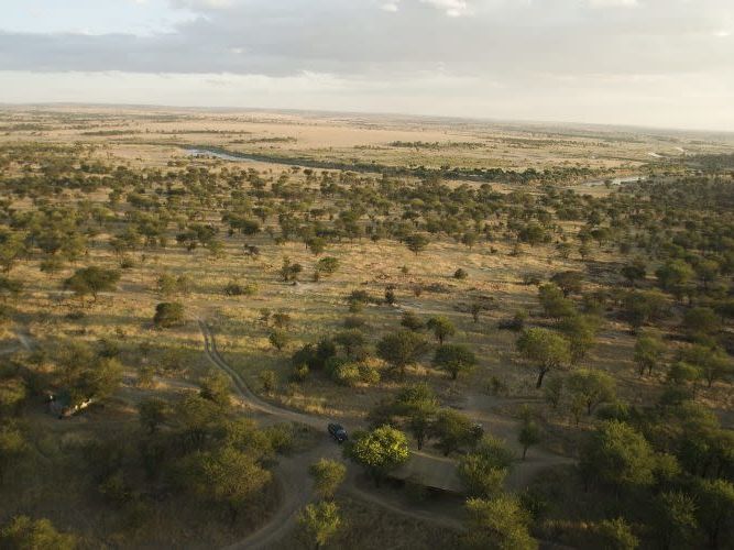 Alex Walker's Migration Camp