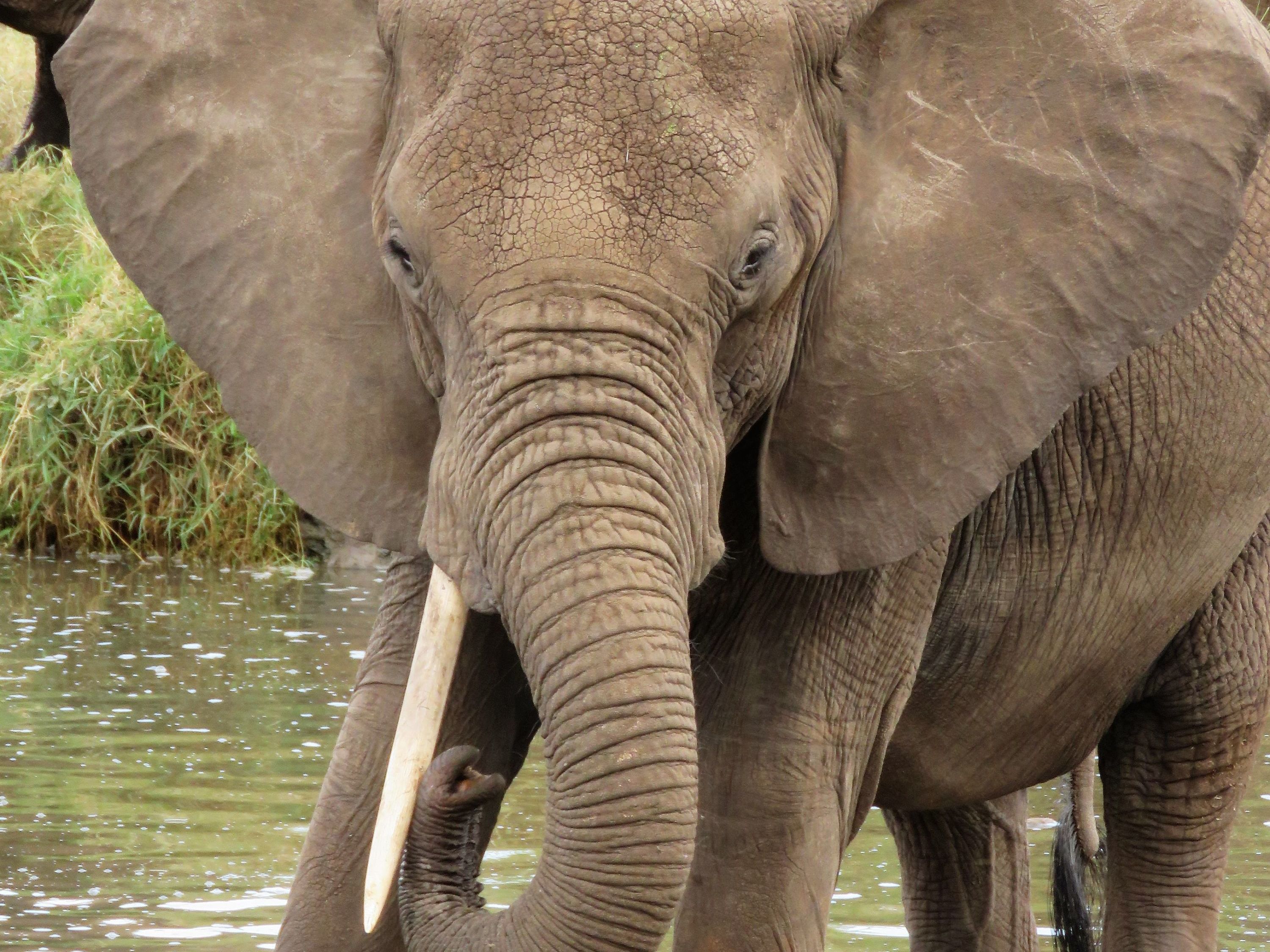 Serengeti National Park