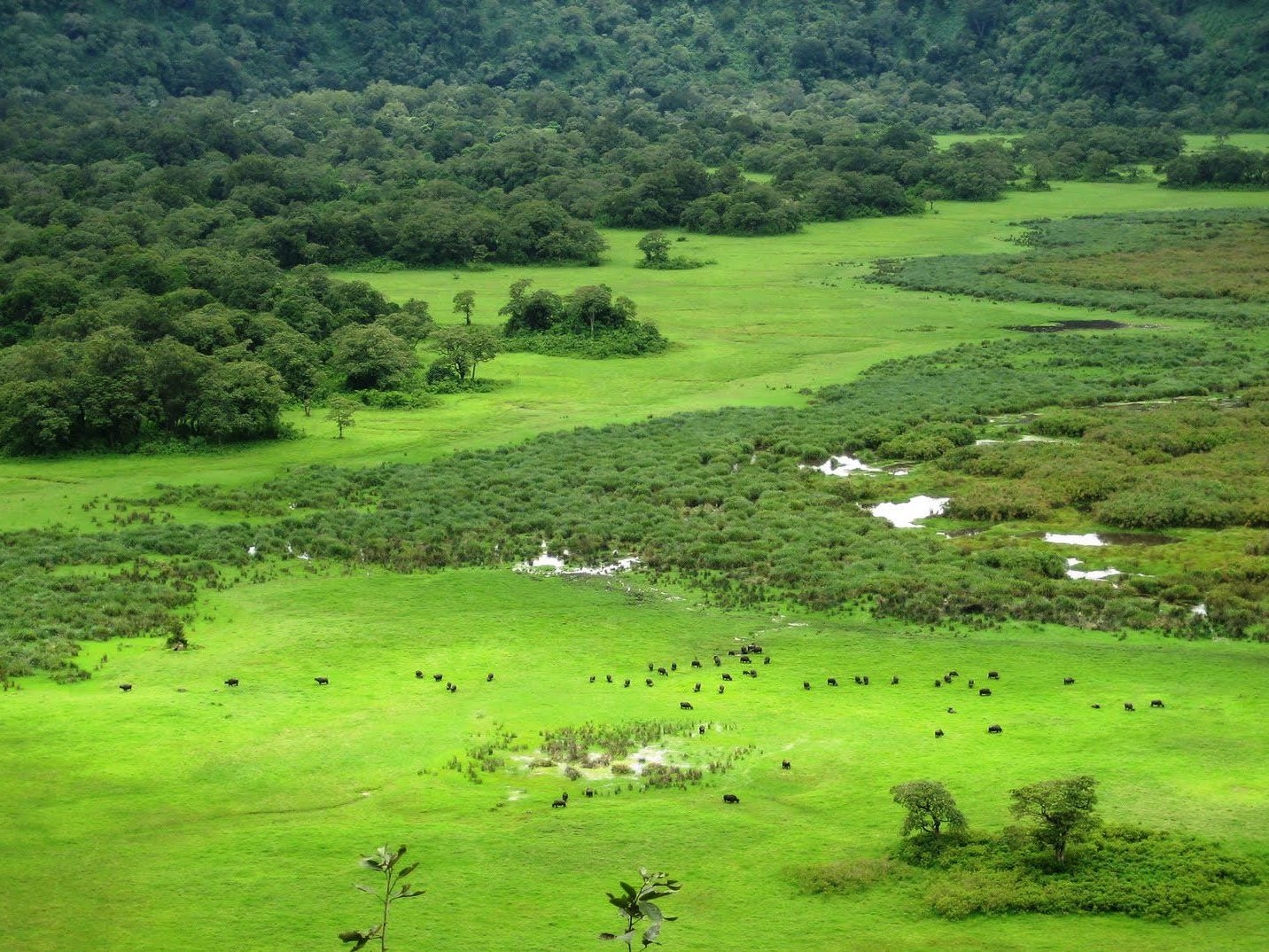 Arusha National Park