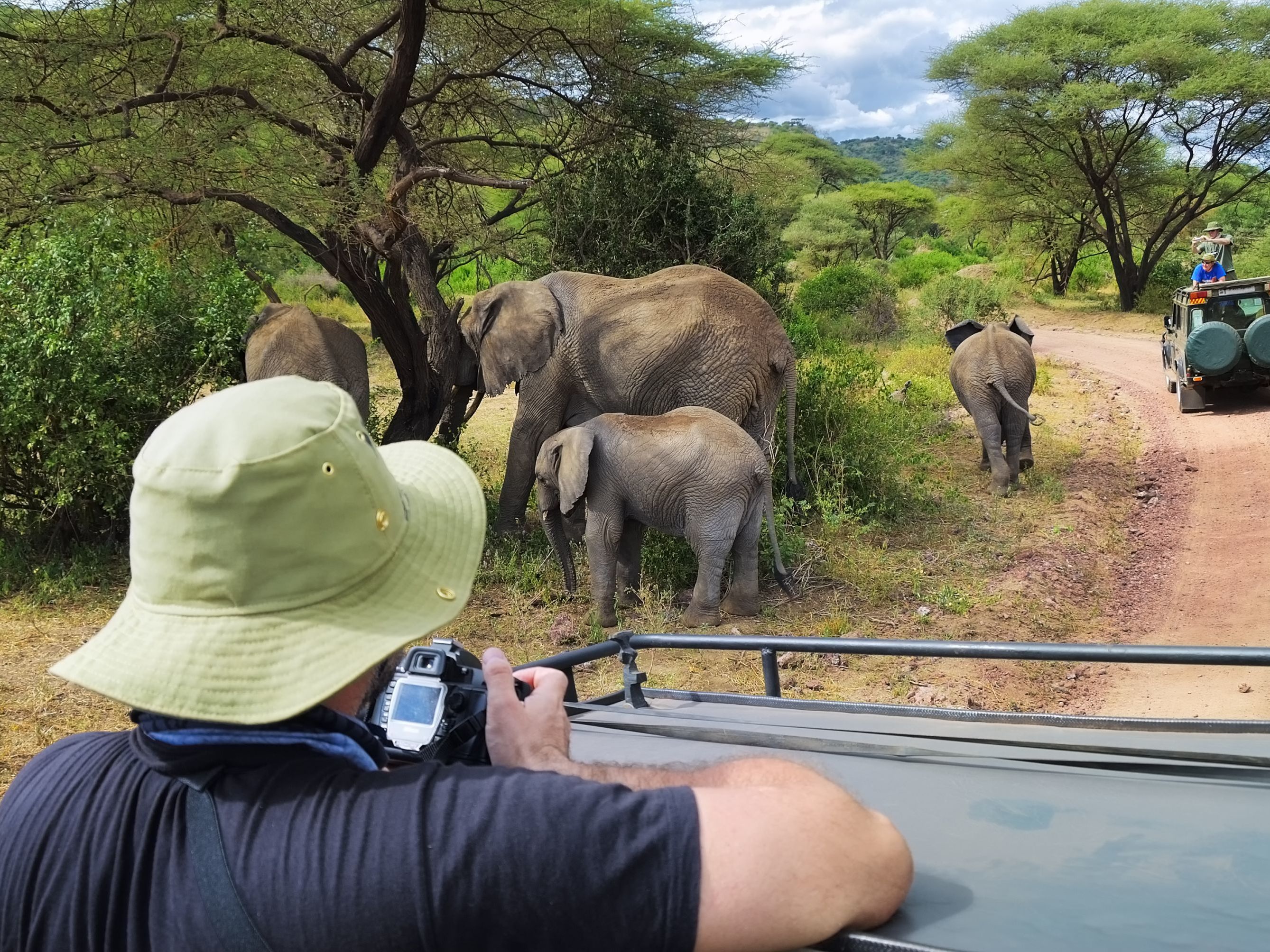 Manyara National Park