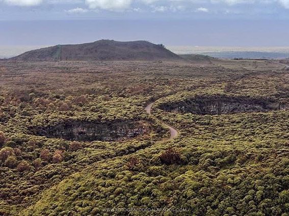 Fly to Baltra and Kayak across the Itabaca Channel. Visit a Giant Tortoise Reserve in the Highlands