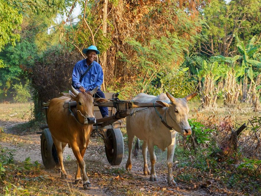 Local Farming Village Countryside Tour-Monk Blessing Ceremony -Old Market