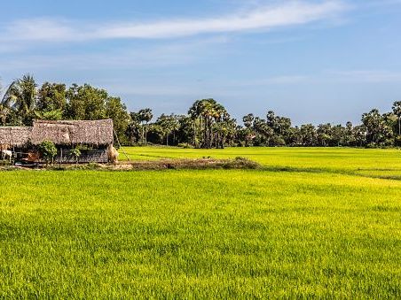 Local Farming Village Countryside Tour-Monk Blessing Ceremony -Old Market
