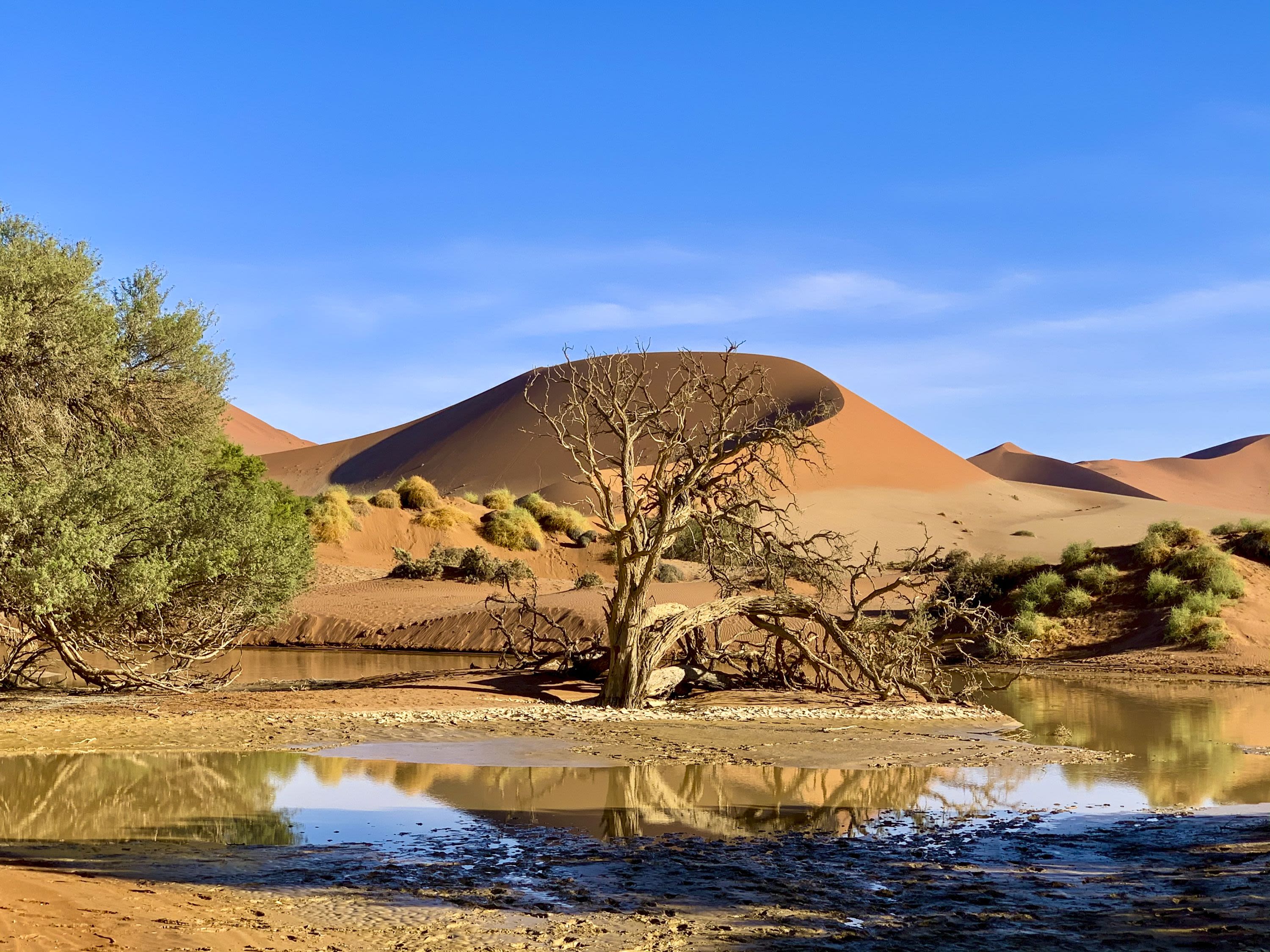 Sossusvlei
