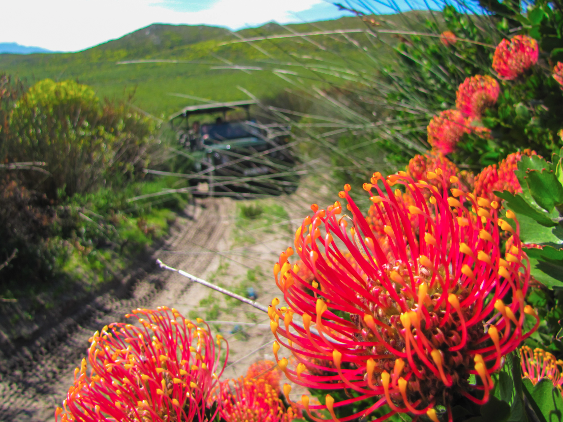 The Charm of Stanford Village