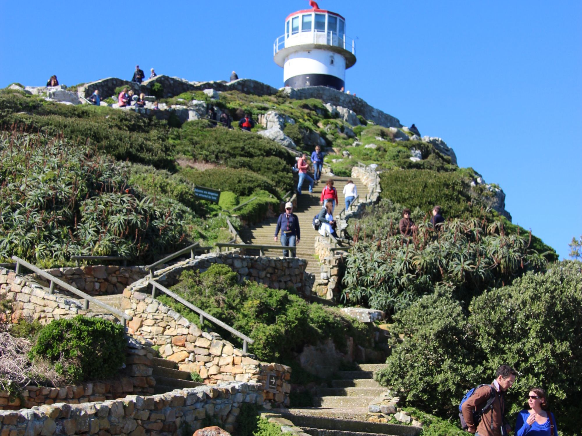Cape Point & Boulders Penguin Sanctuary