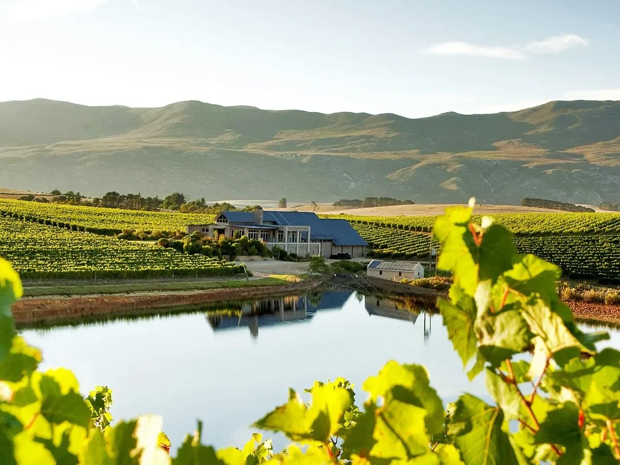 The Charm of Stanford Village