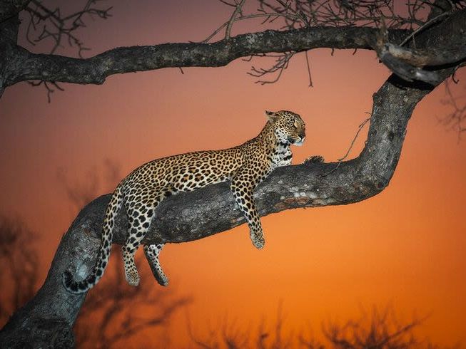 Onguma Private Game Reserve