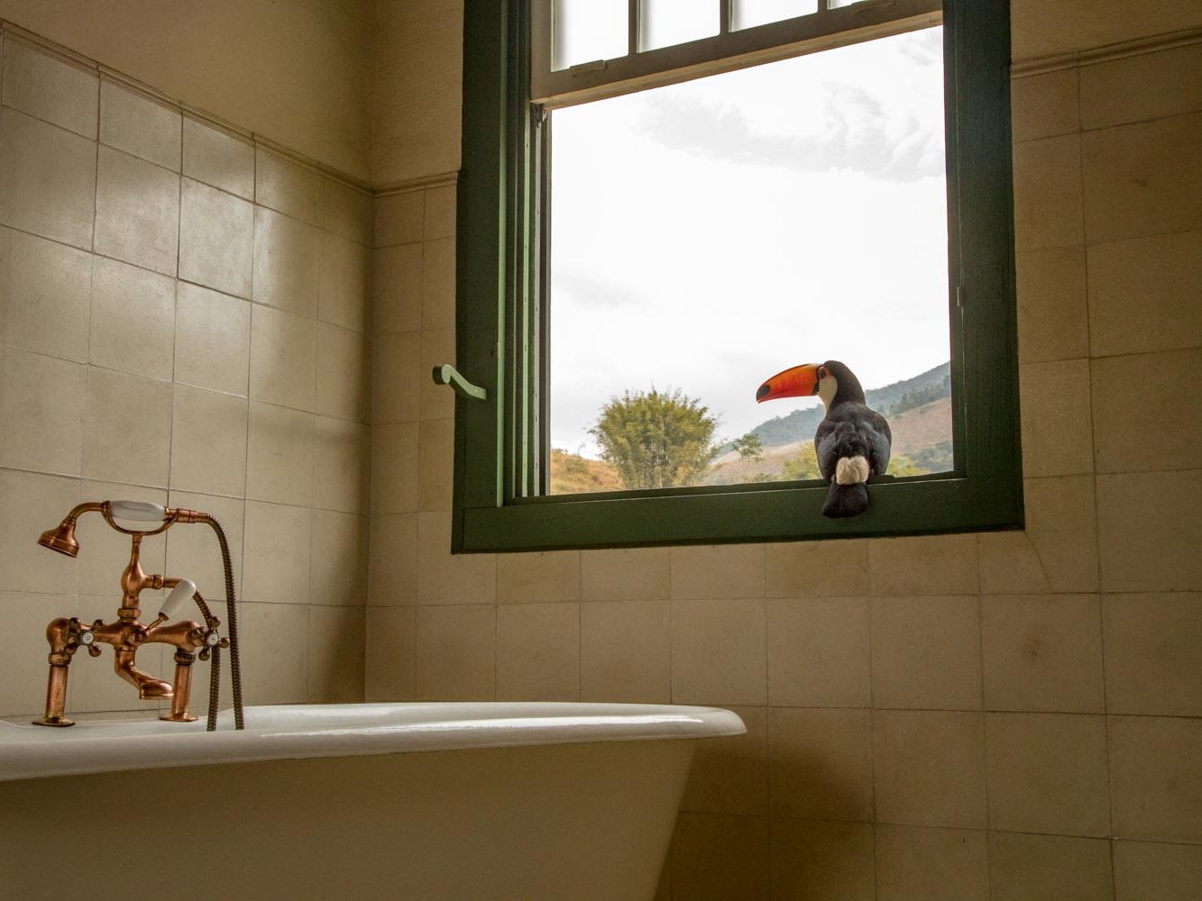 Engenho Lodge at Ibiti Projecto