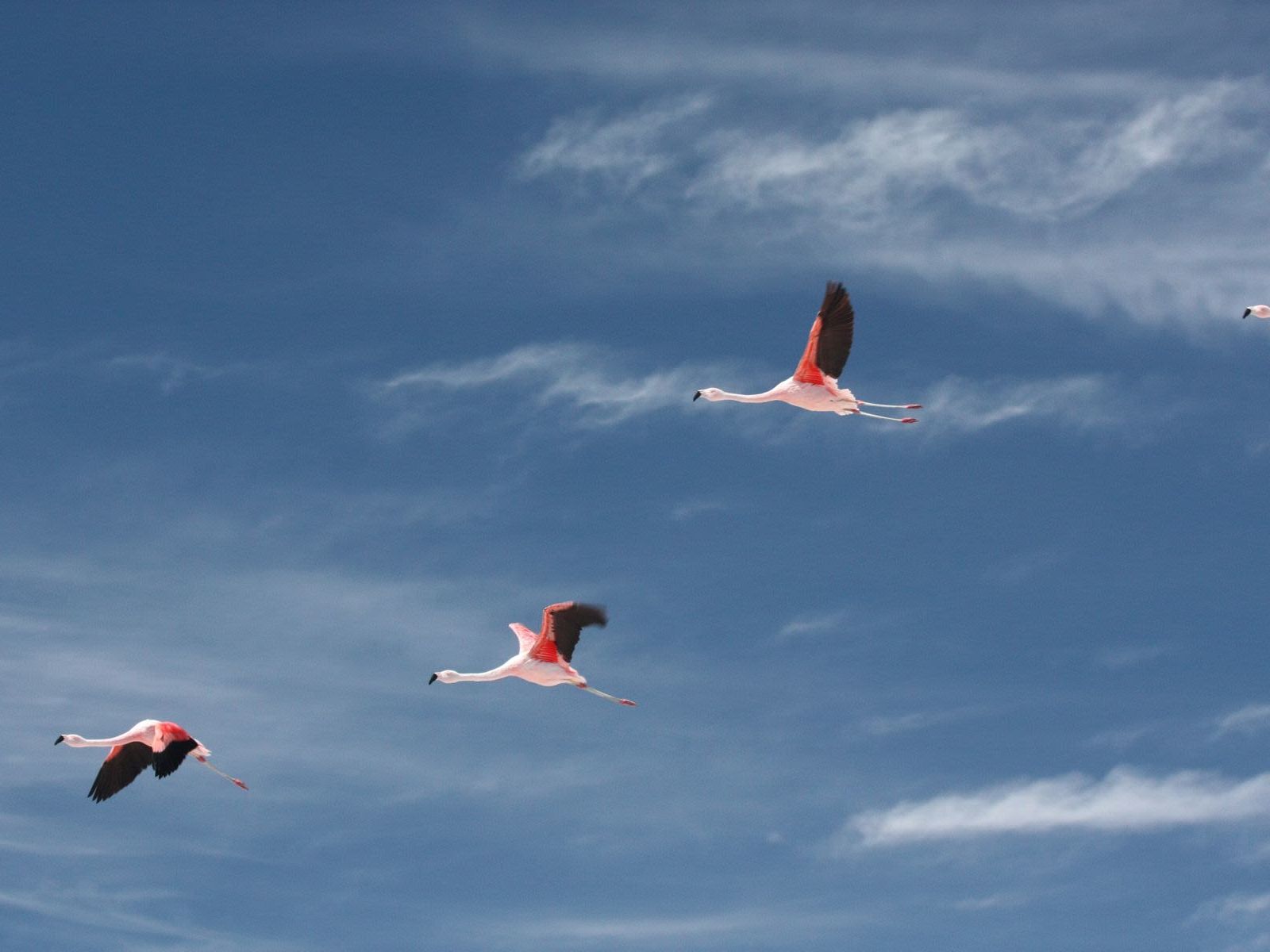 Explore Atacama Day 1