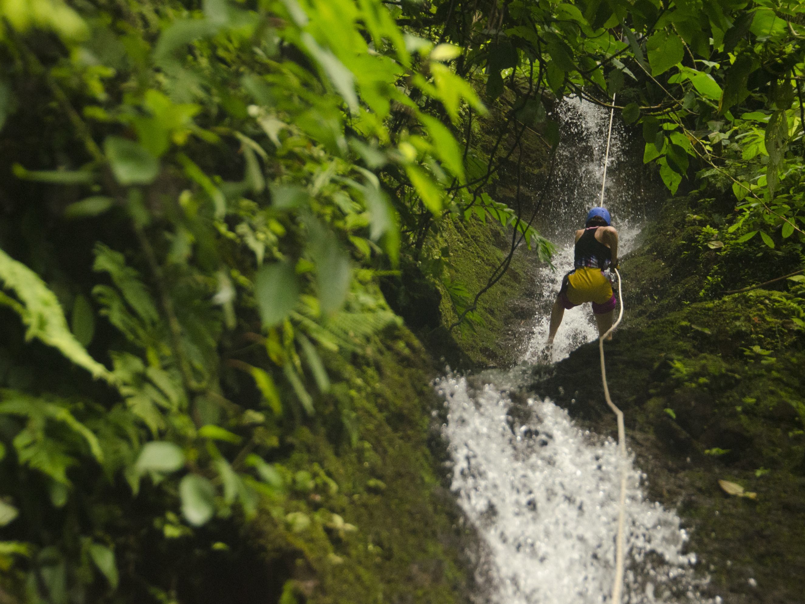 Full Day at Pacuare Lodge
