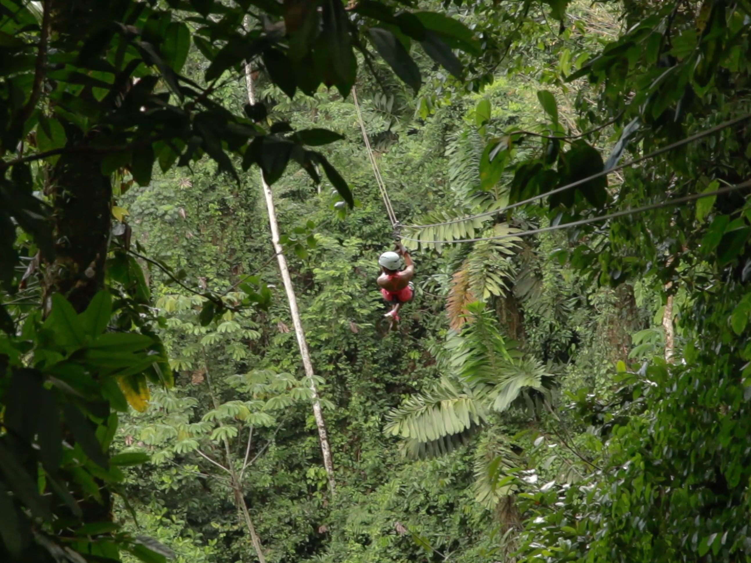 Excursion of Your Choice in from Arenas del Mar