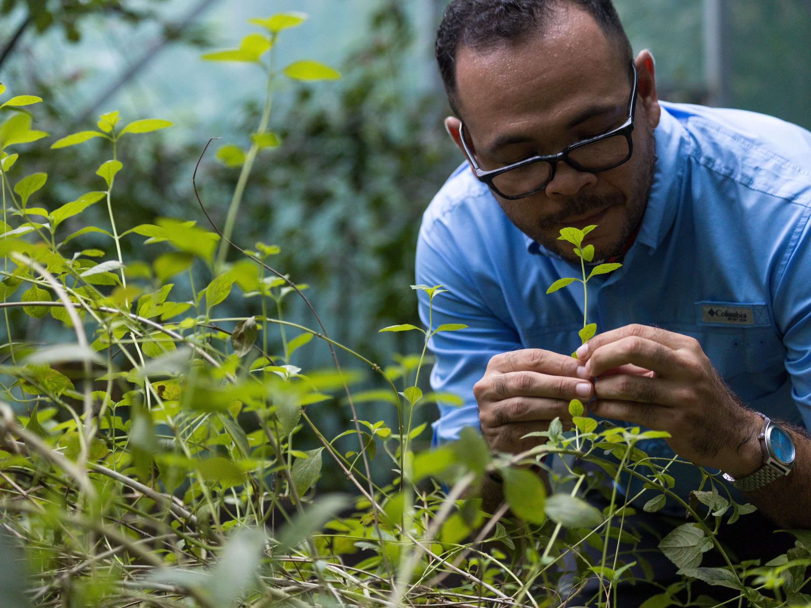 Excursion of Your Choice in from Arenas del Mar