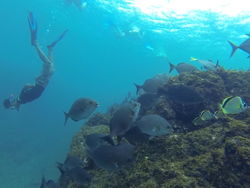 Explore Uvita & Relax at Kurá