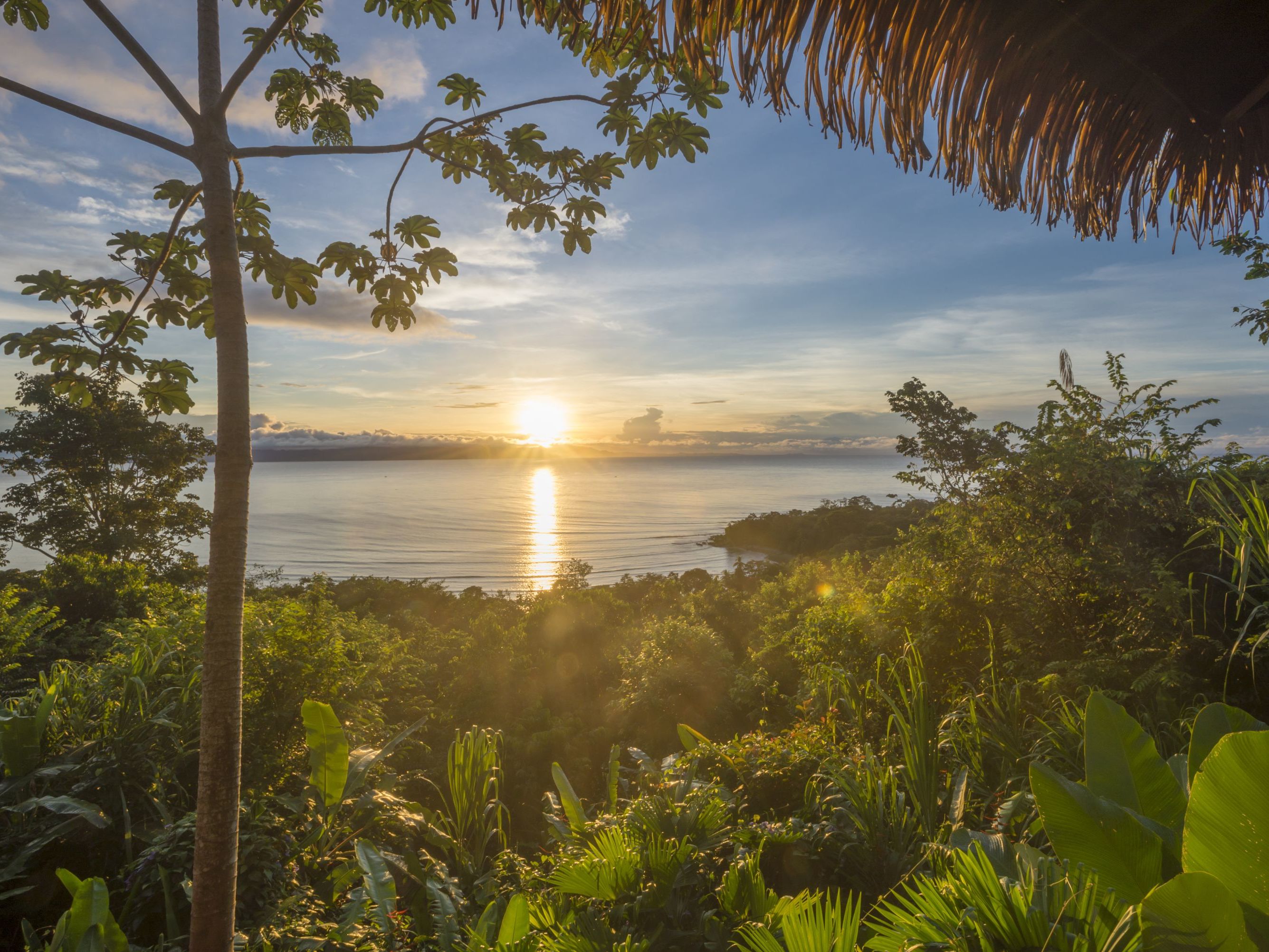 Flight San Jose to Puerto Jimenez