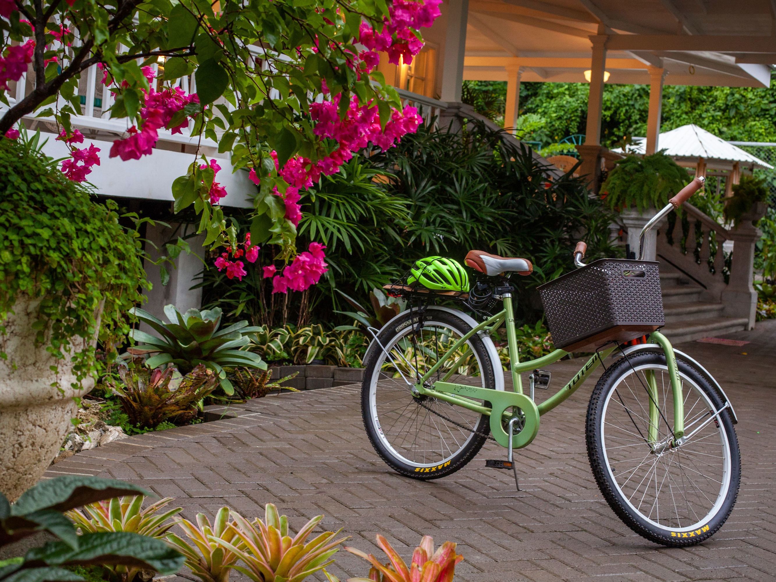 Excursions of Your Choice from Aguas Claras