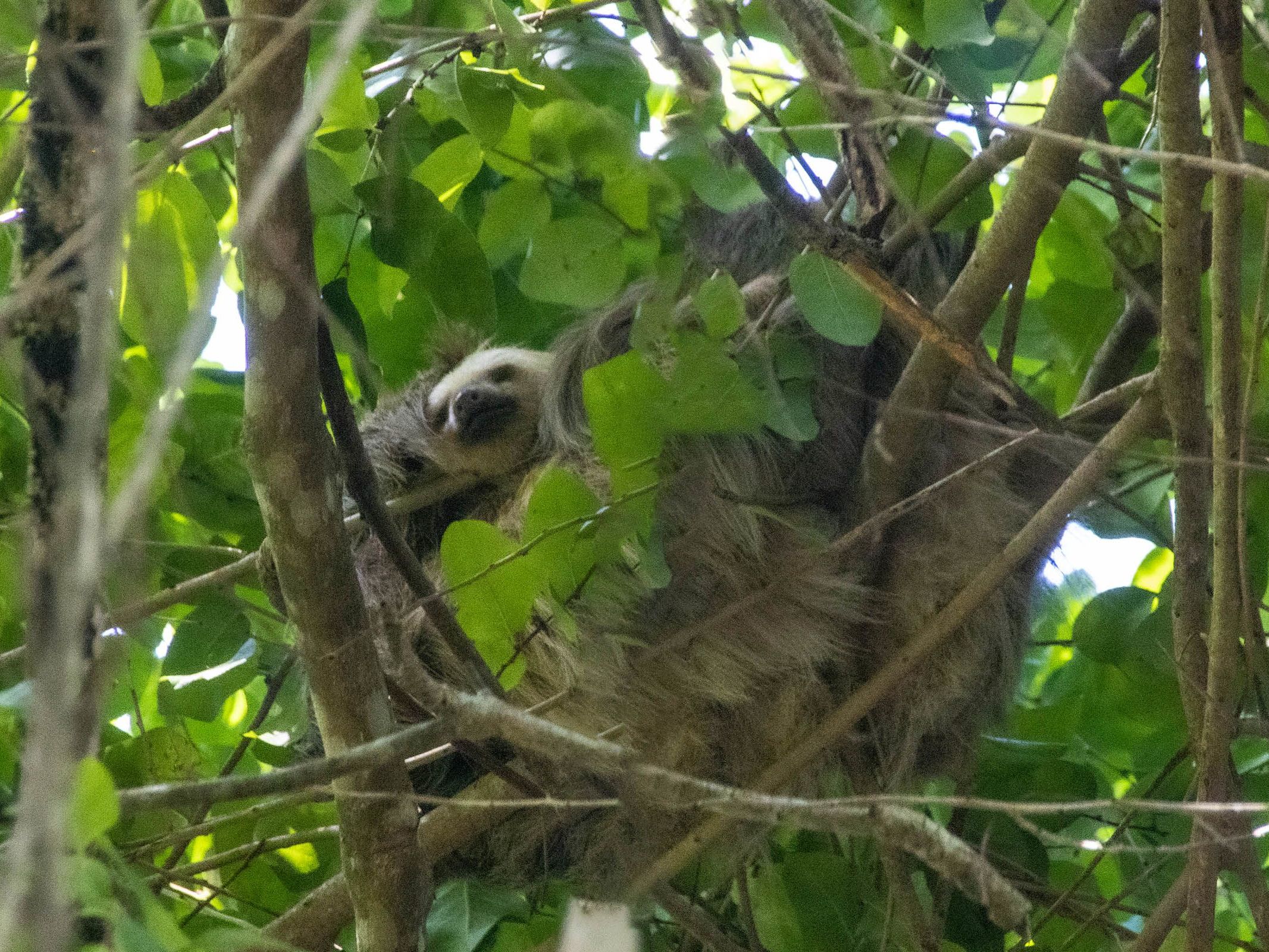 Excursions of Your Choice from Aguas Claras