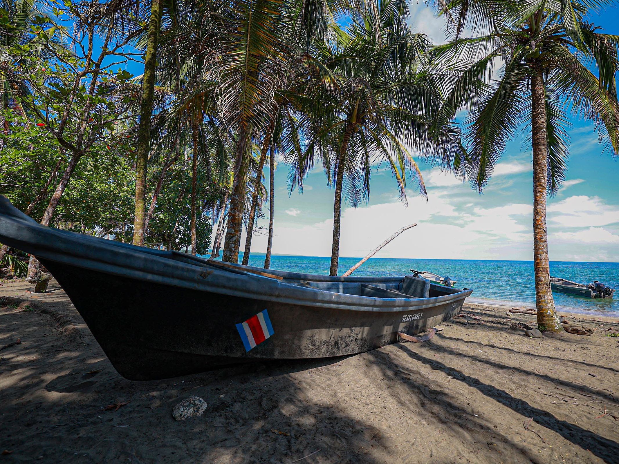 Excursions of Your Choice from Aguas Claras