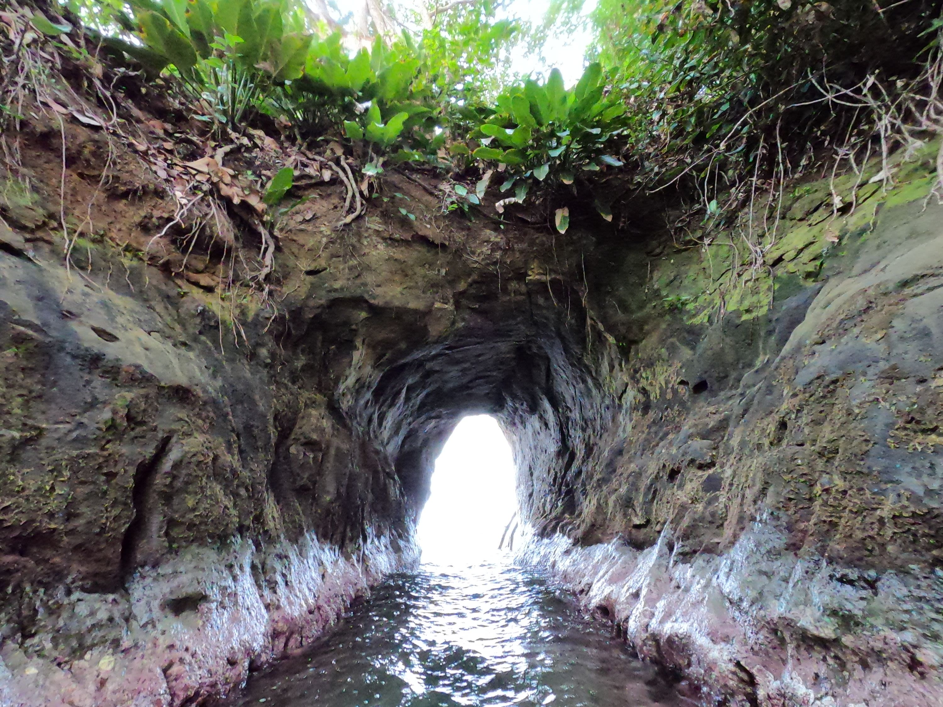 Excursions of Your Choice from Aguas Claras