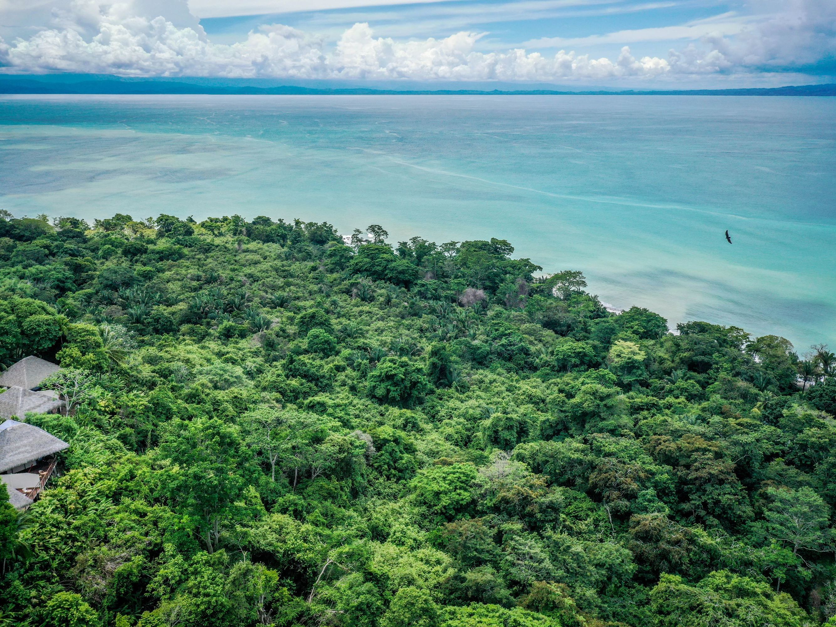 Excursion of Your Choice at Lapa Rios