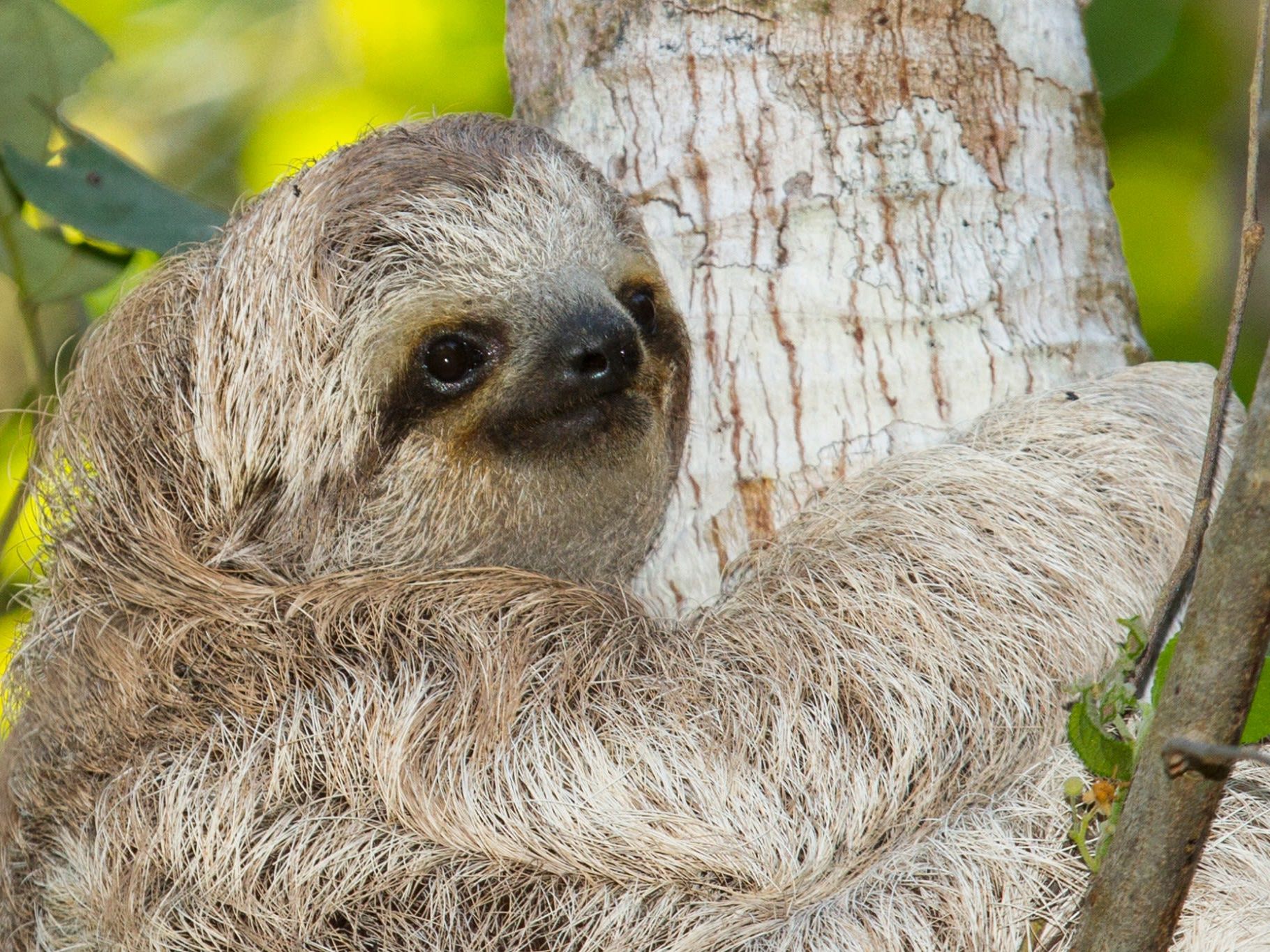 Excursion of Your Choice at Lapa Rios