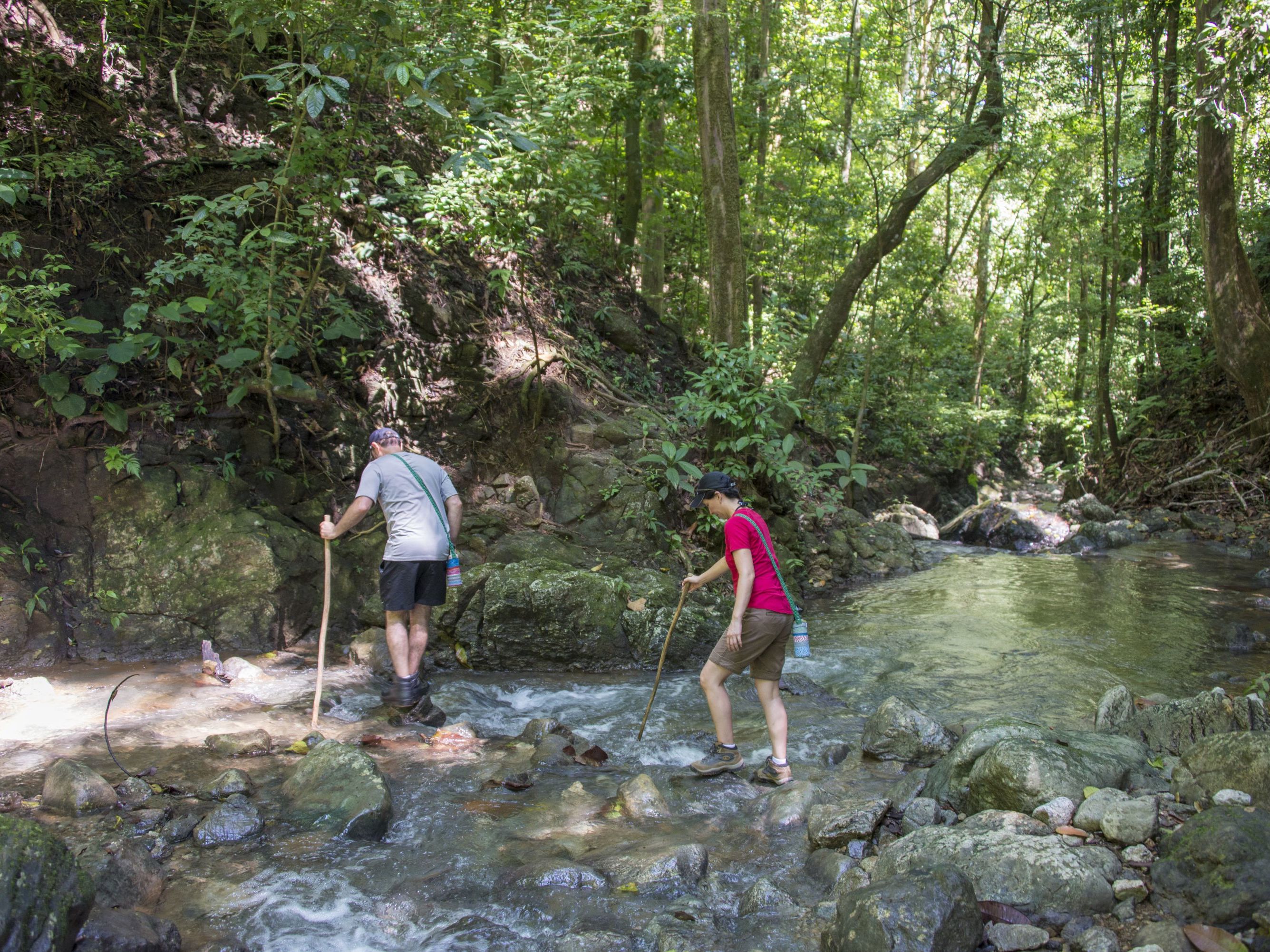 Excursion of Your Choice at Lapa Rios
