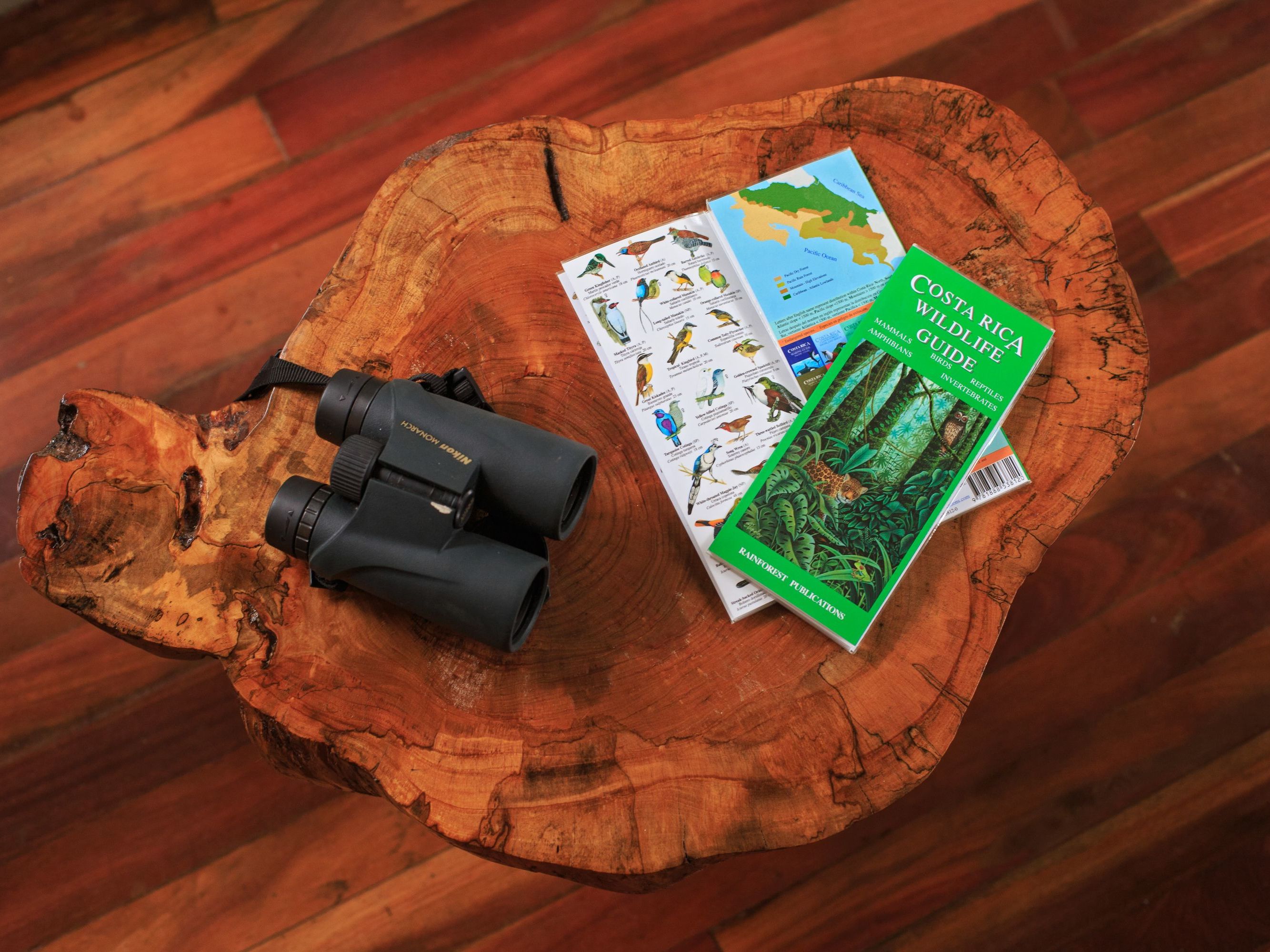 Excursion of Choice from Senda Monteverde