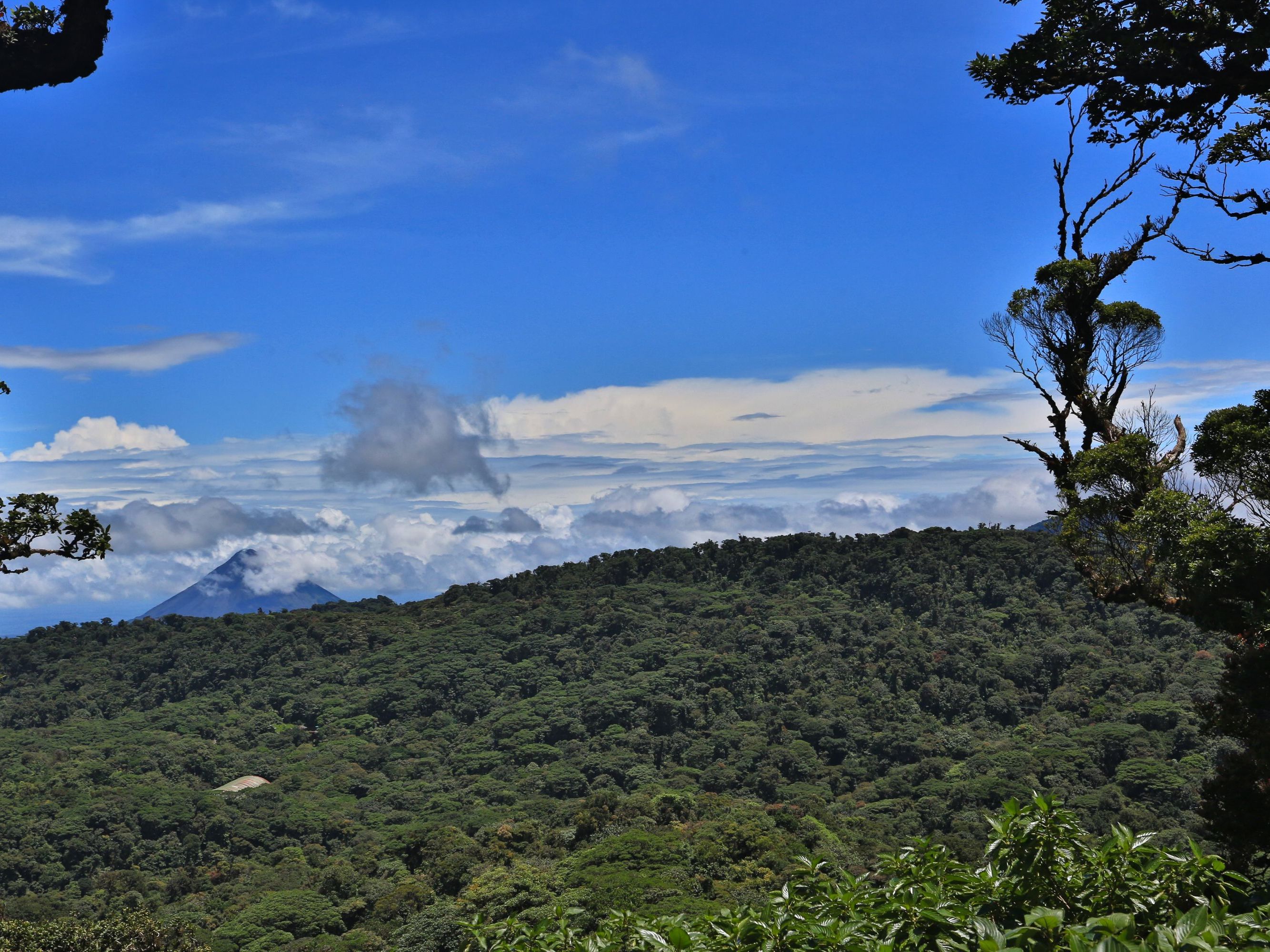 Excursion of Choice from Senda Monteverde