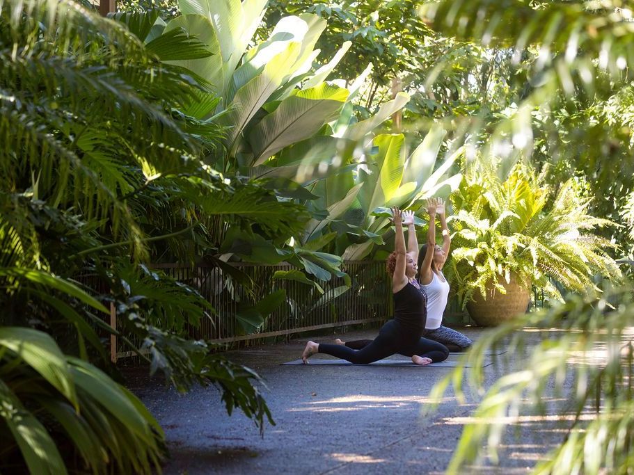 Excursion of Your Choice in from Arenas del Mar