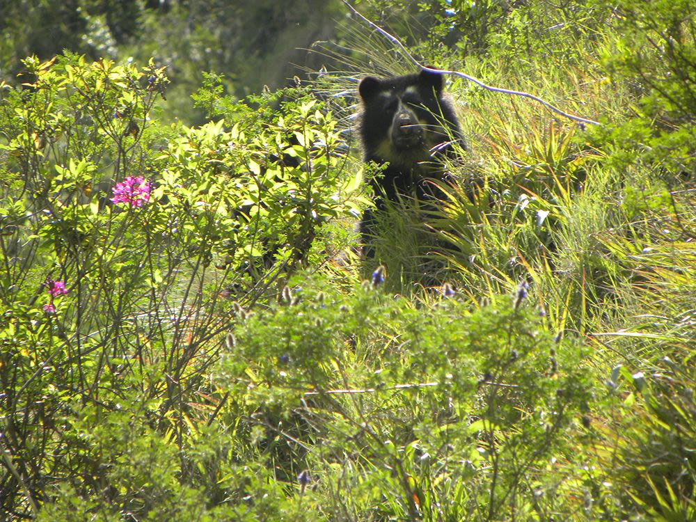 Explore Hacienda Zuleta