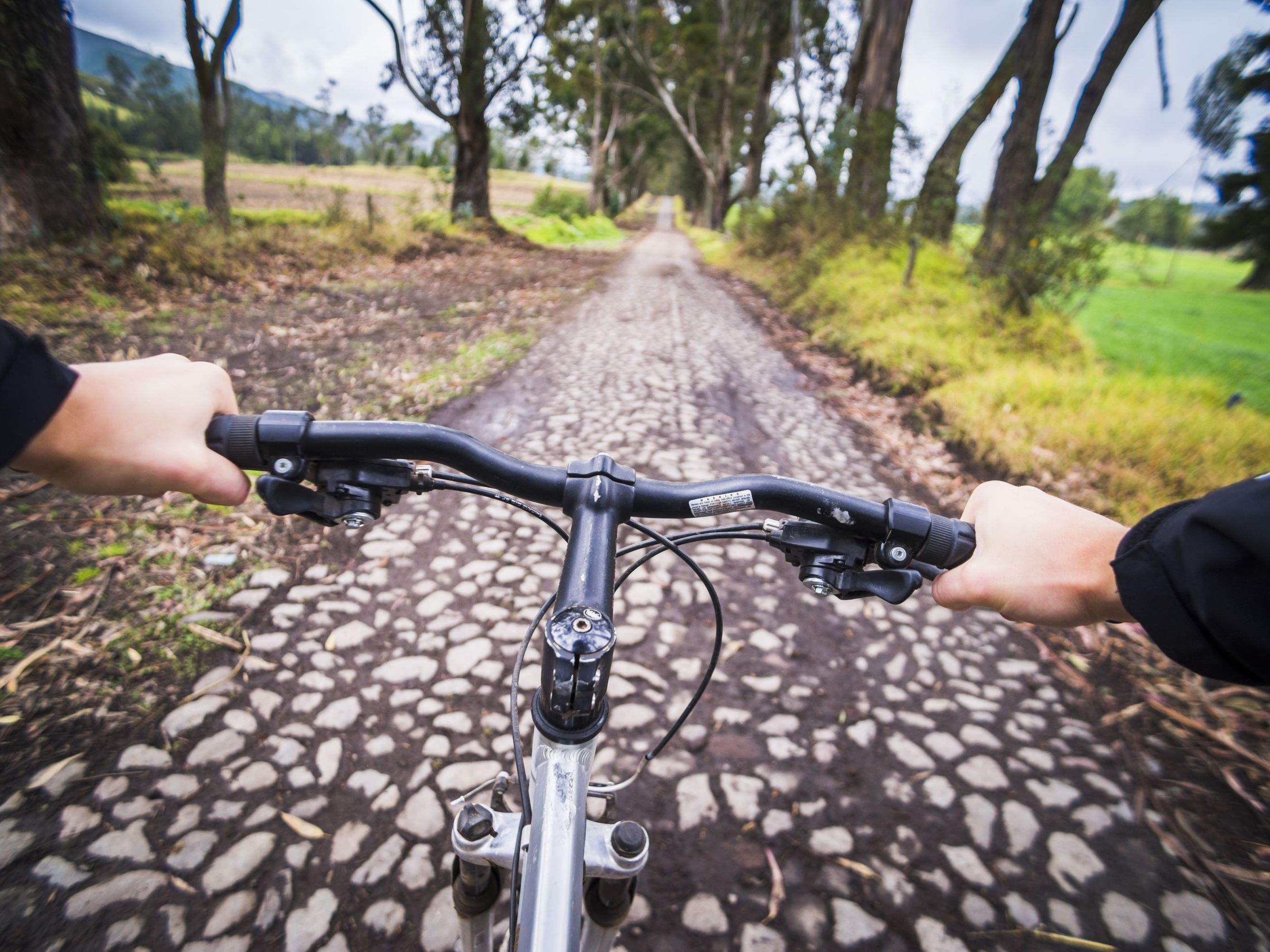 Zuleta Community Visit &  Explore the Property 