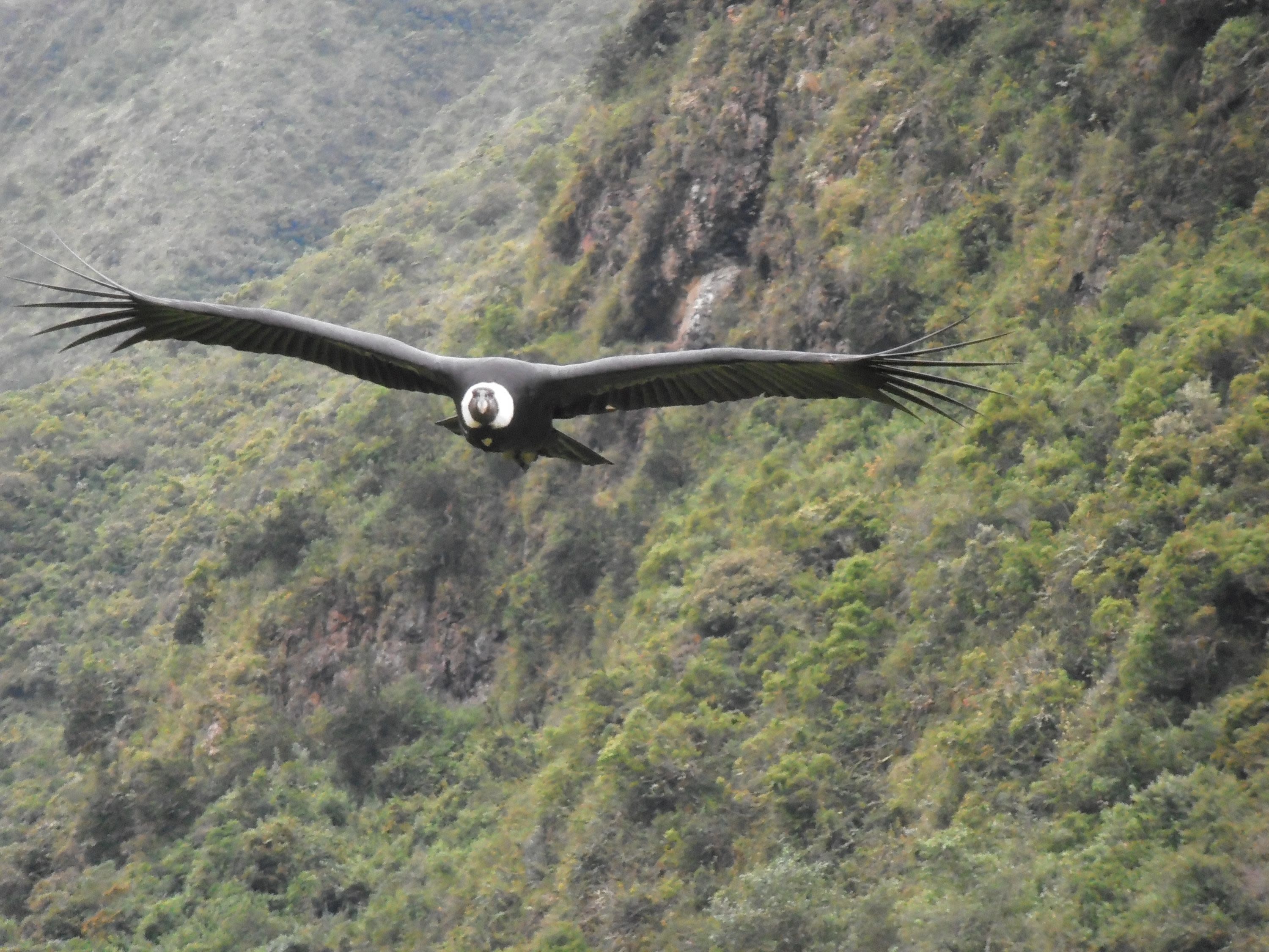 Explore Hacienda Zuleta