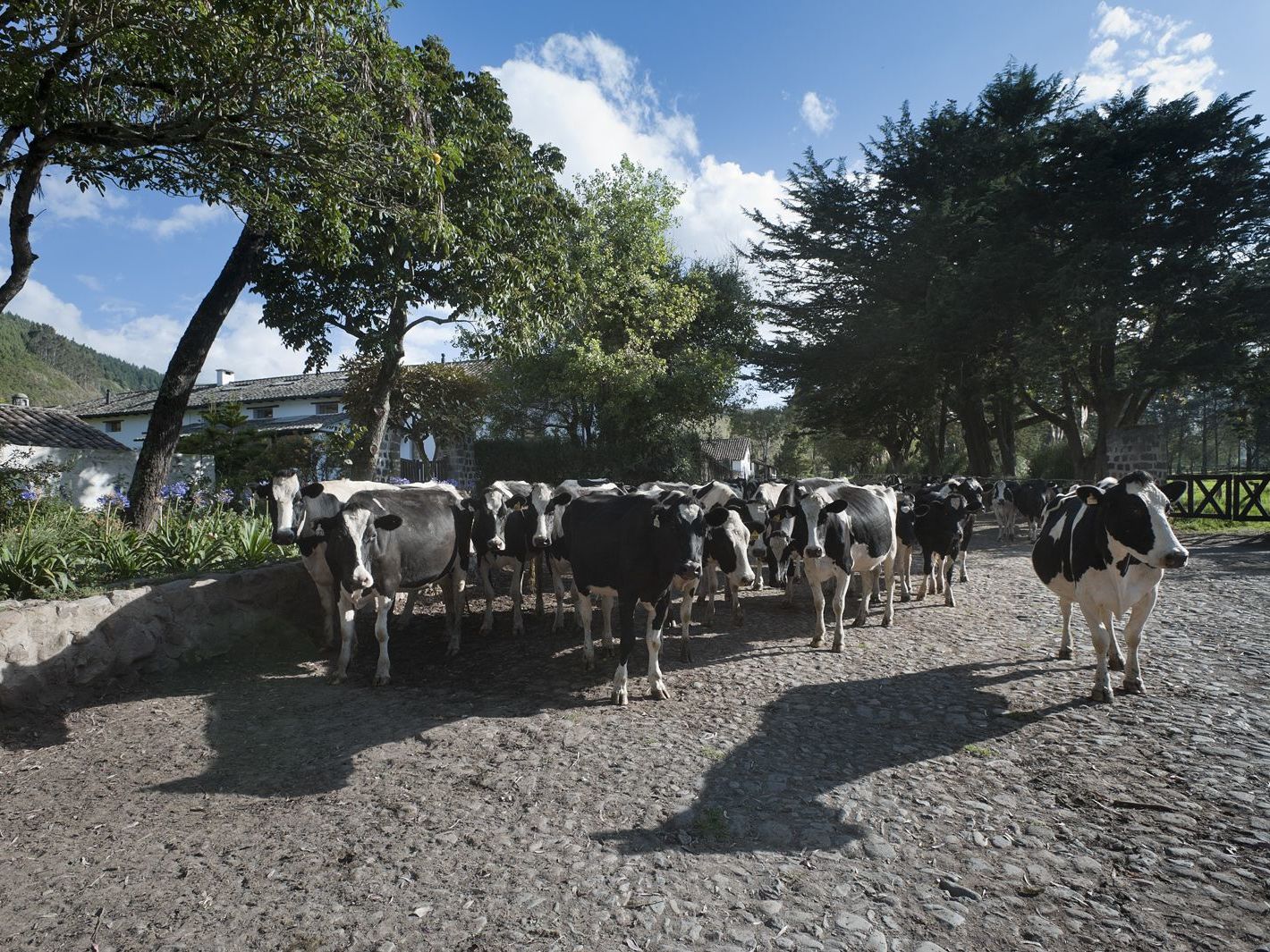 Zuleta Community Visit &  Explore the Property 