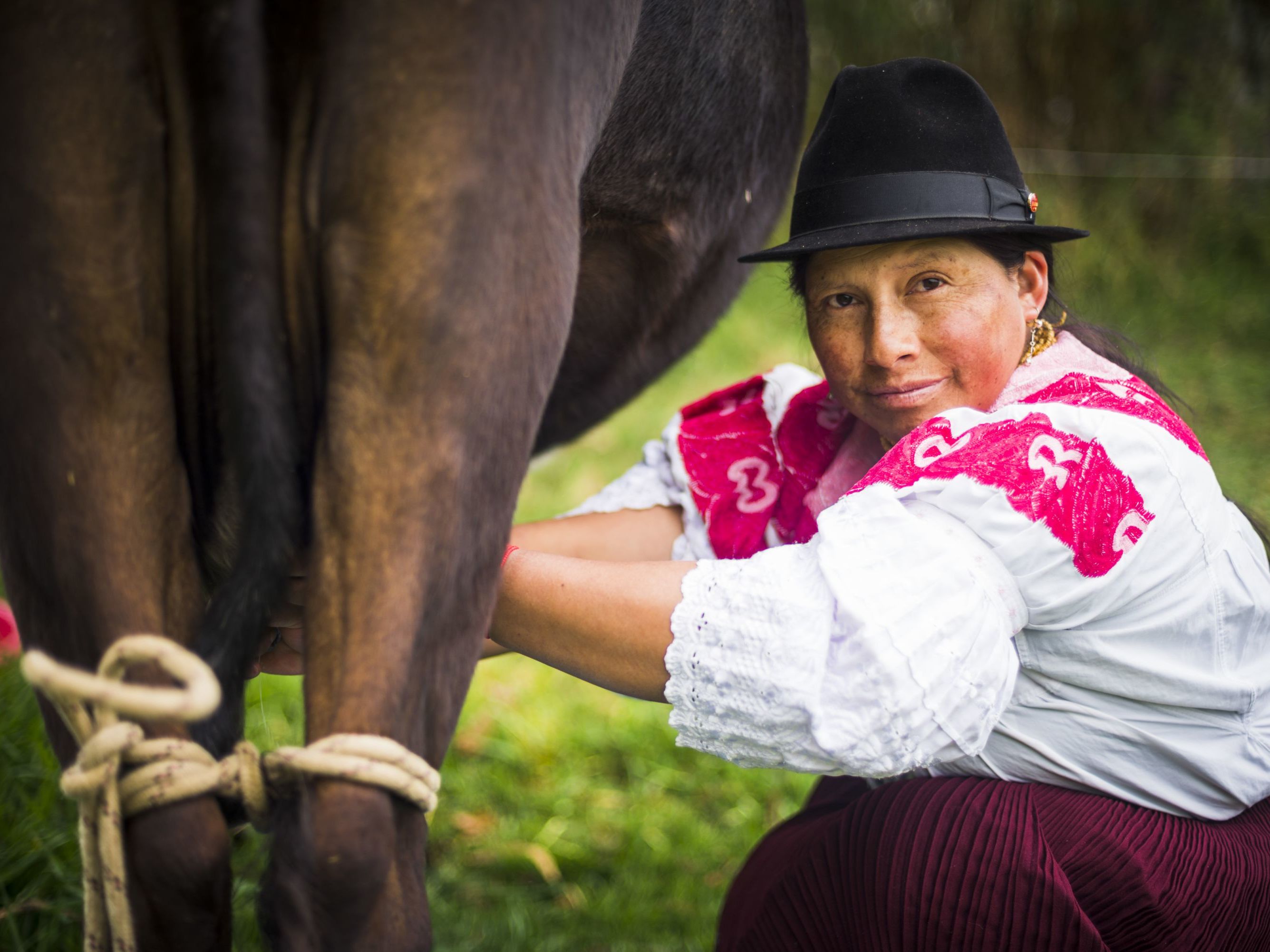 Explore Hacienda Zuleta