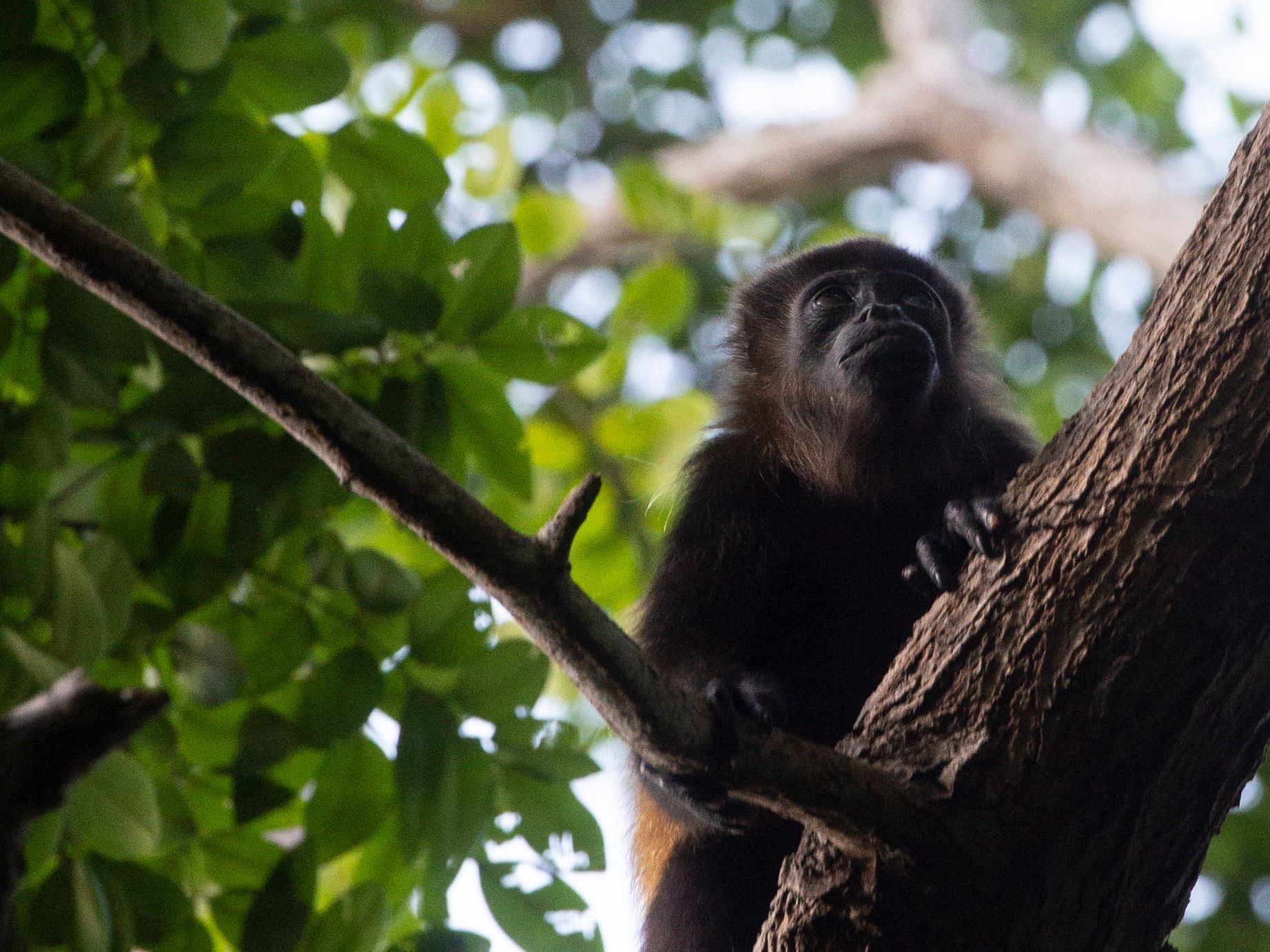 Full Day at Rancho Santana