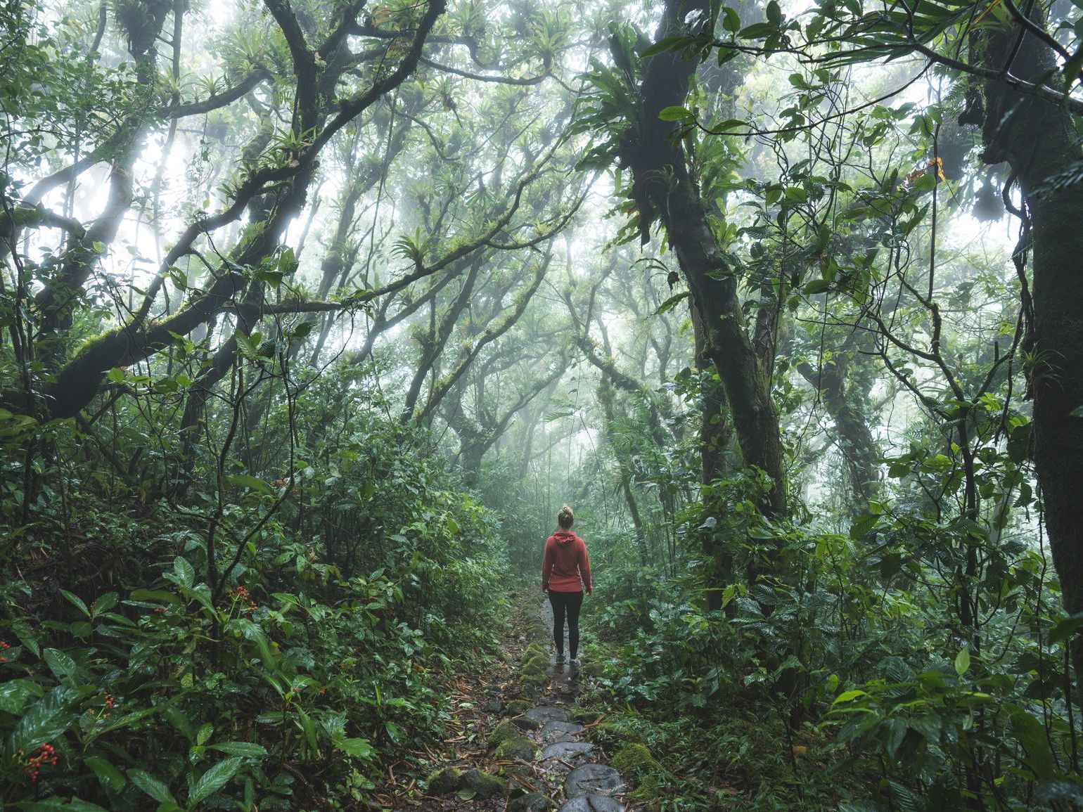 Full Day Mombacho Volcano and Canopy Zip Line