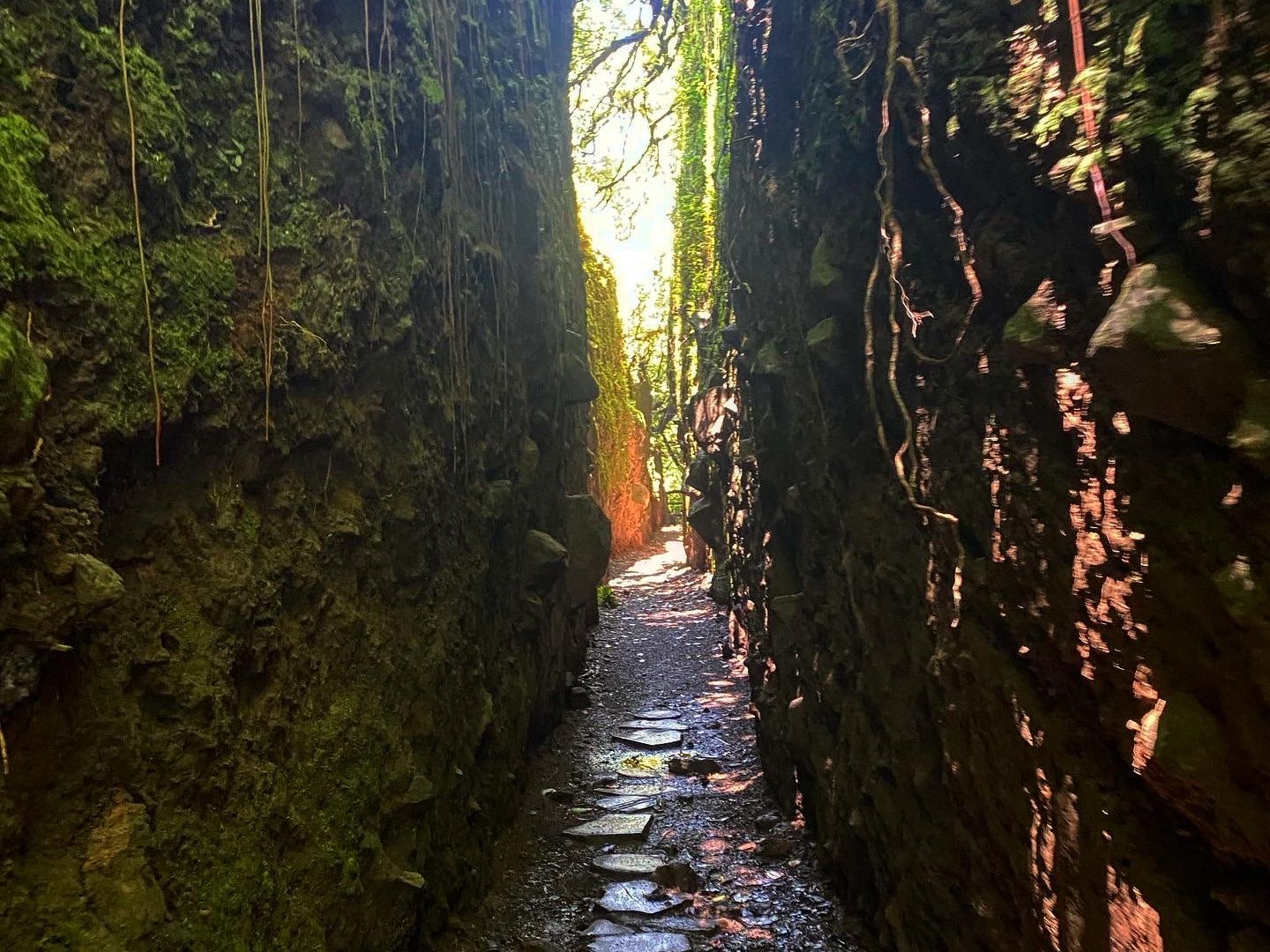 Full Day Mombacho Volcano and Canopy Zip Line